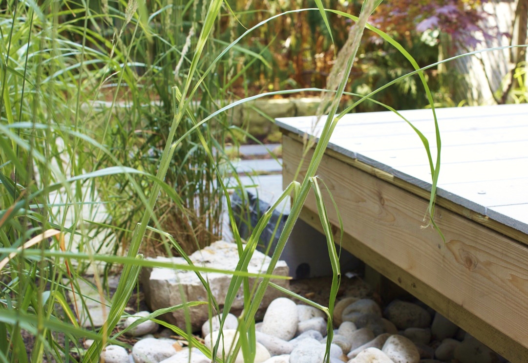 Storm Water Runoff: Design Solutions for a Changing Planet