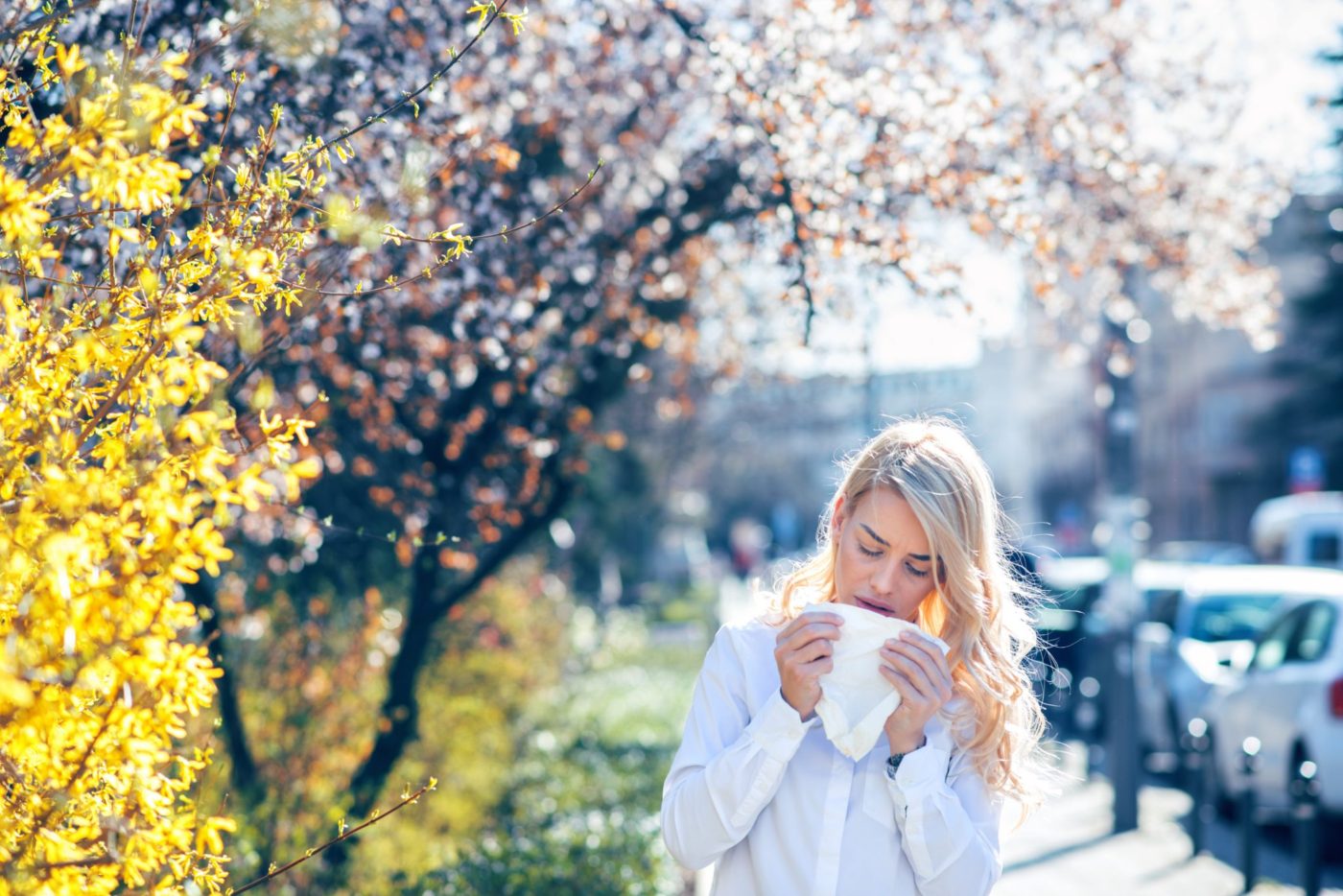 Tree pollen in spring in Toronto