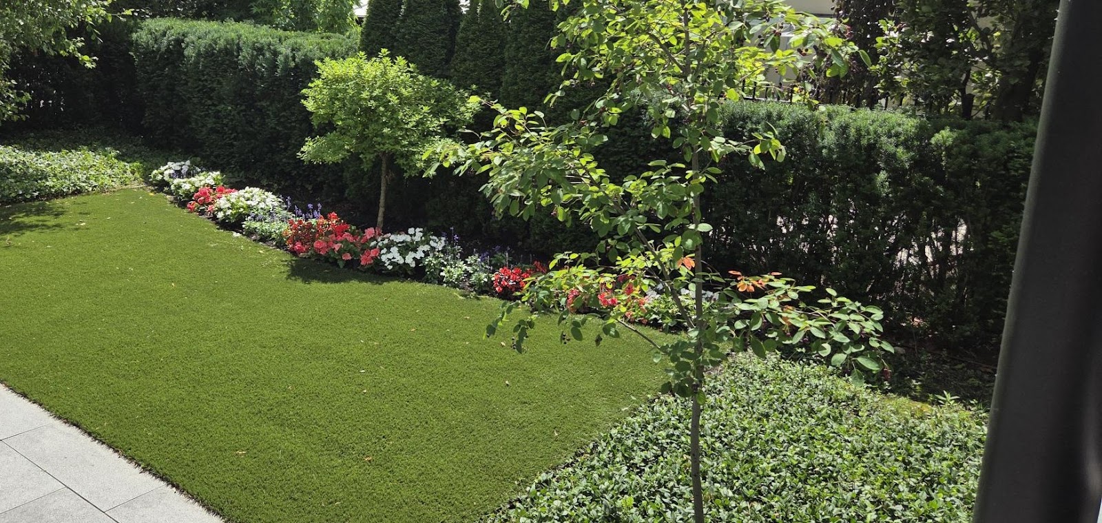 Summer landscape maintenance and planting