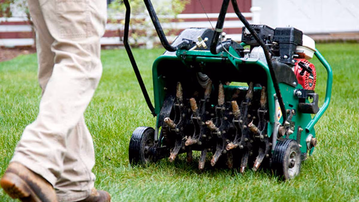 Spring lawn aeration equipment and lawn care