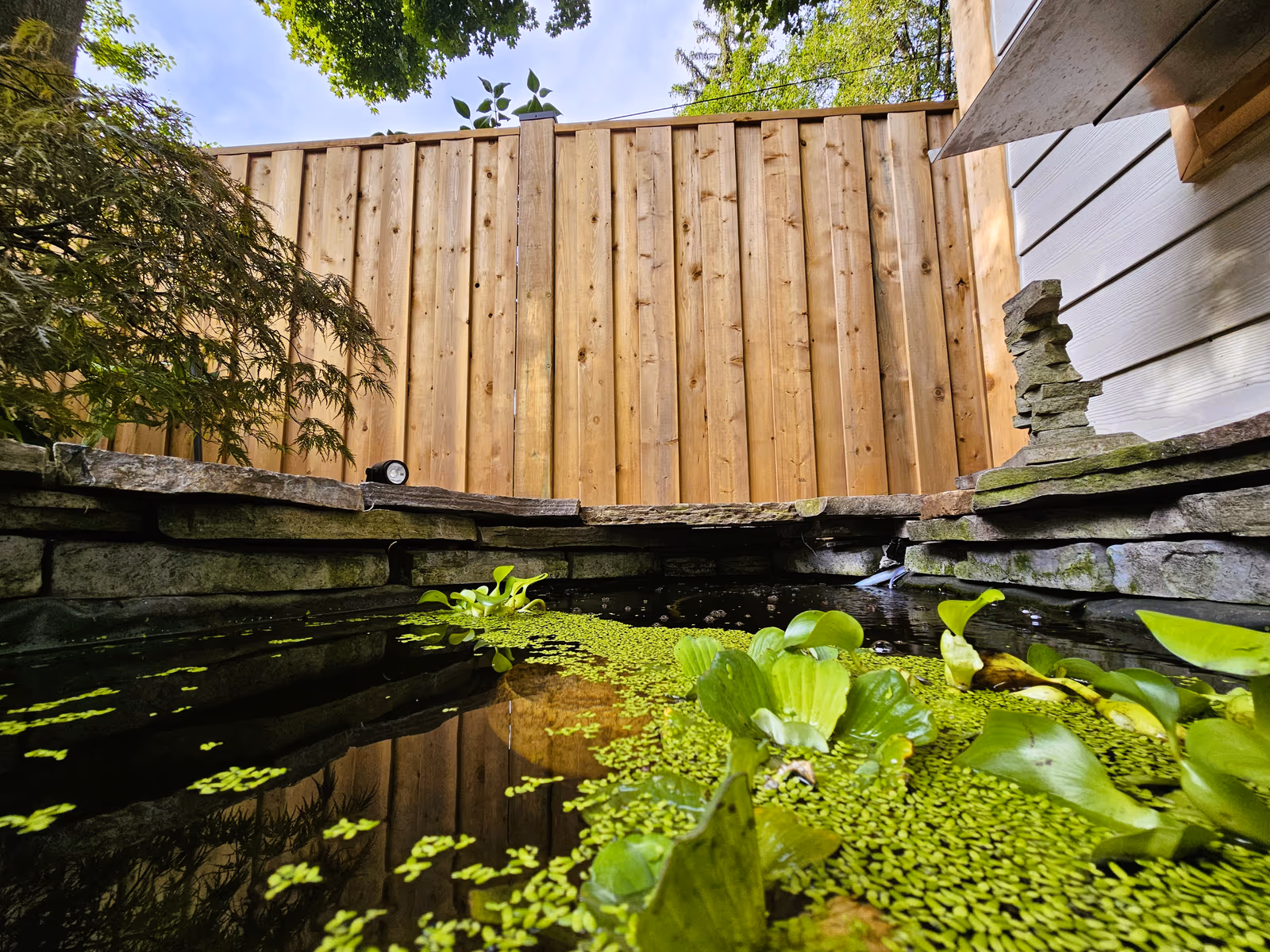 Water Features That Enhance Your Backyard Landscape