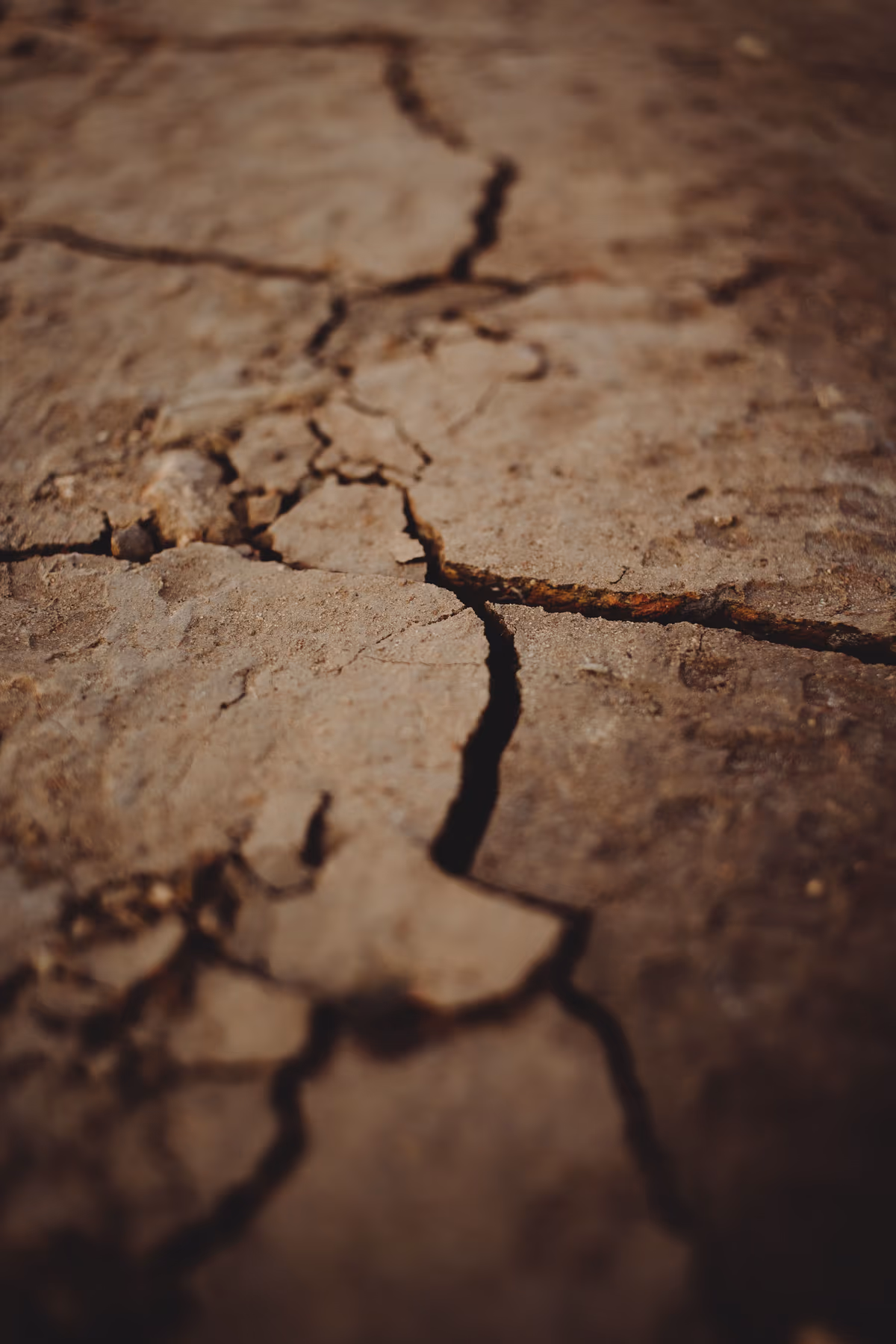 Deep cracks in dry clay soil during a summer drought