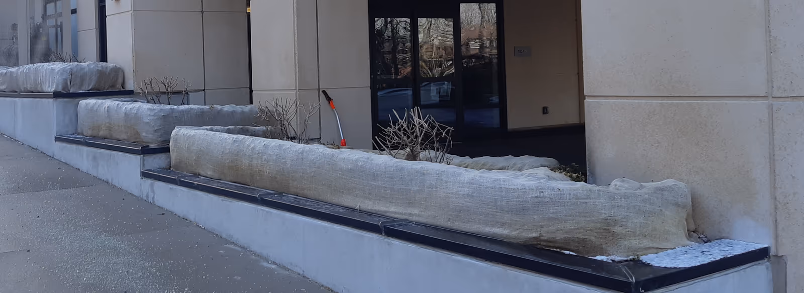 The Importance of Winter Protection & Burlapping