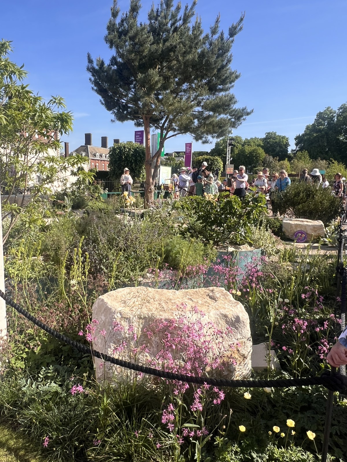 Xeriscape pollinator garden with a natural stone boulder surrounded by pink and yellow drought-tolerant blooms