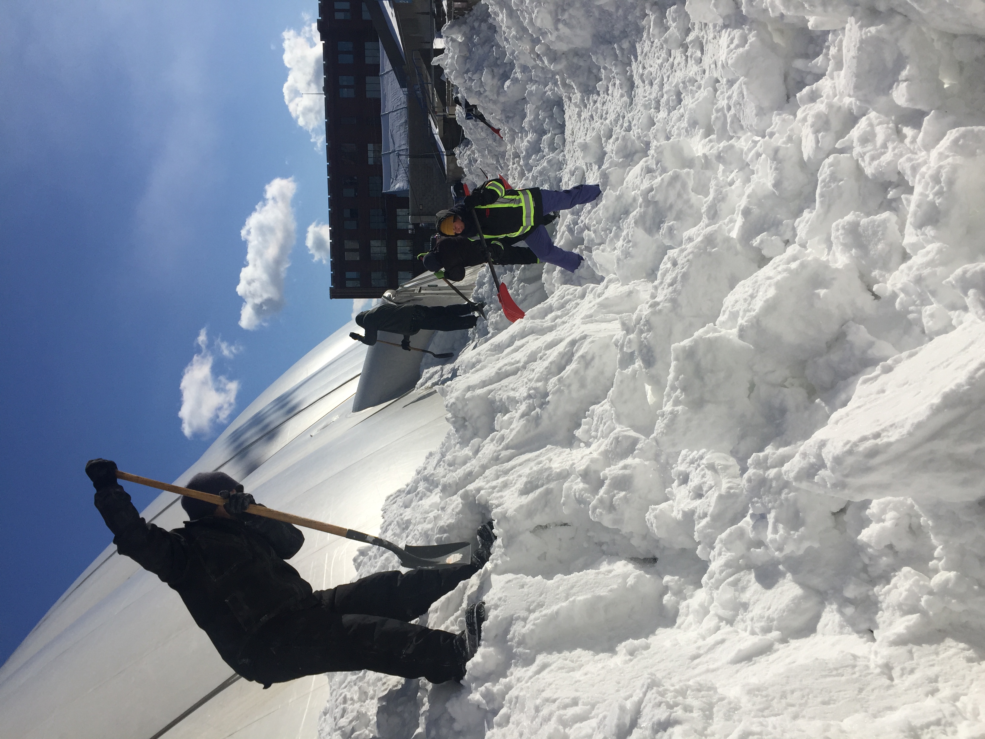 Winter Garden Preparation Tips for Ontario (Zone 5)