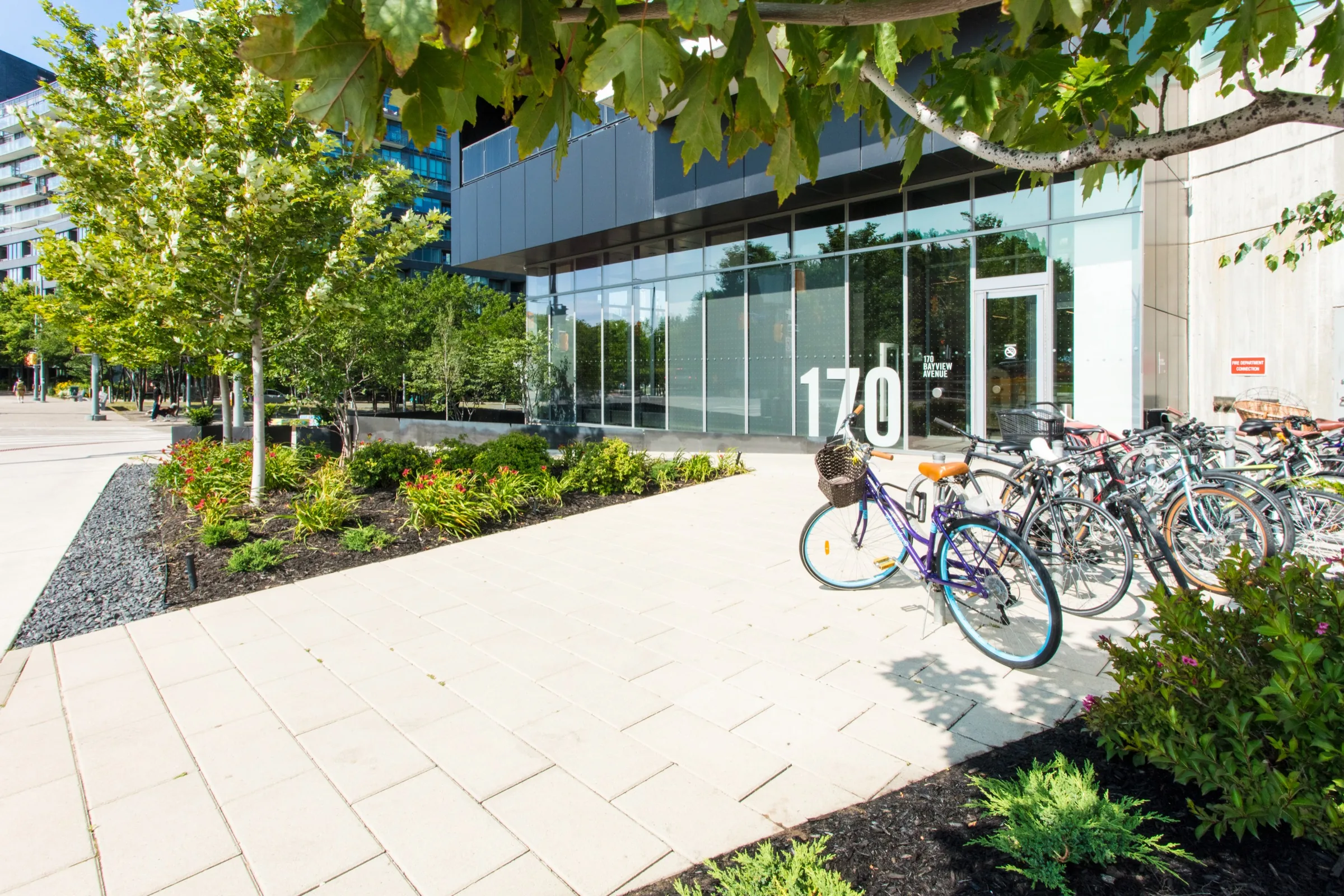 Landscaped main entrance with trees, flowering perennials and clear pedestrian access