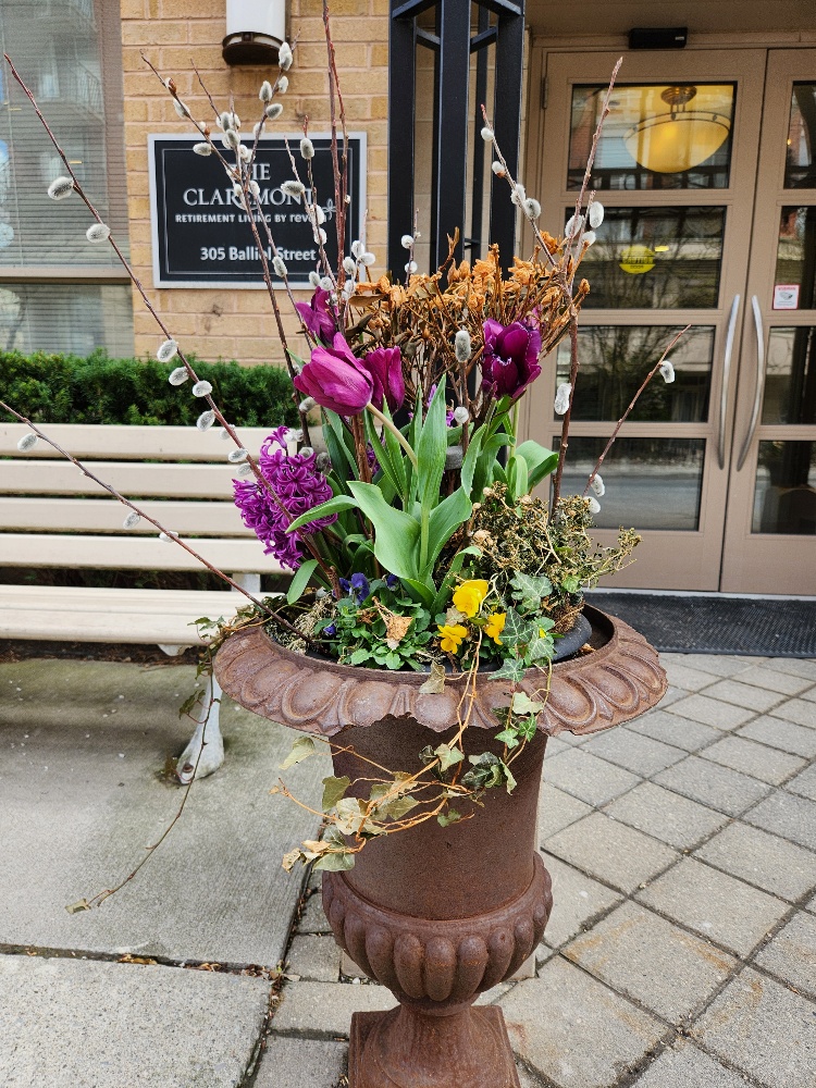 Close up example of a planted urn outside this commerical property. You can see in this closeup how the design was created to make the individual flower colors pop and make this property standout.