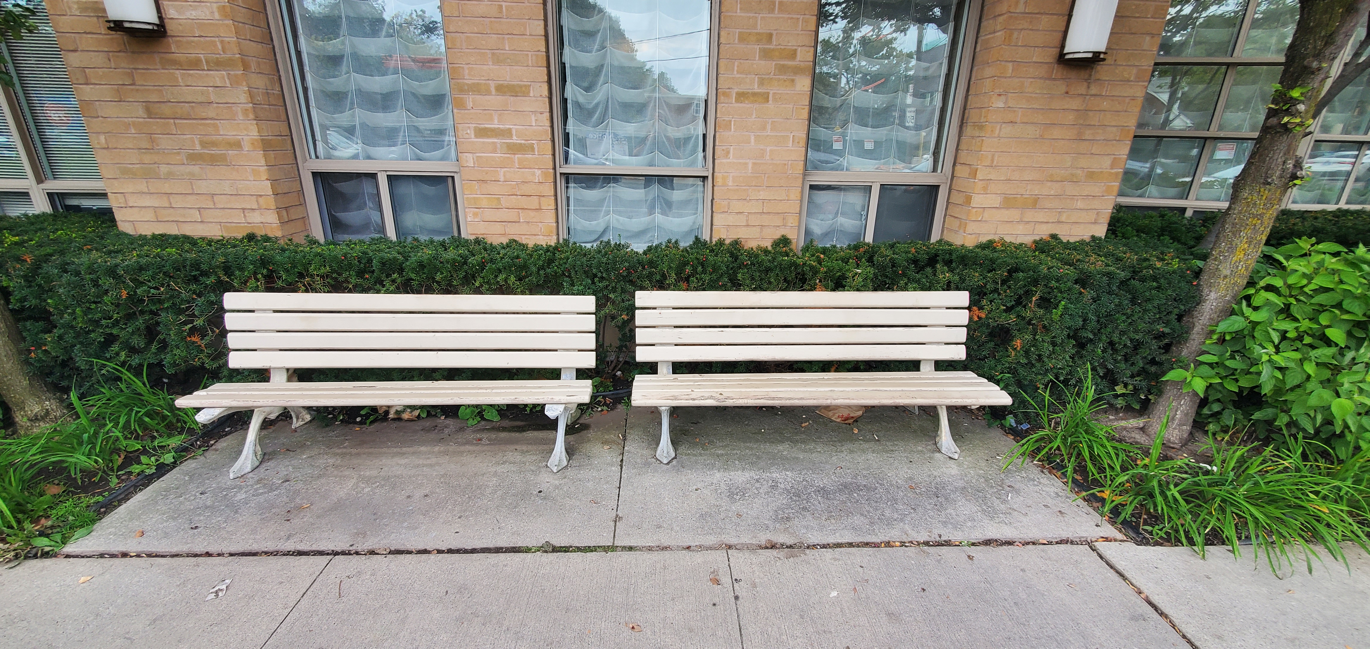 Two outdoor benches surrounded by Yews provide this property with a beutiful seating area