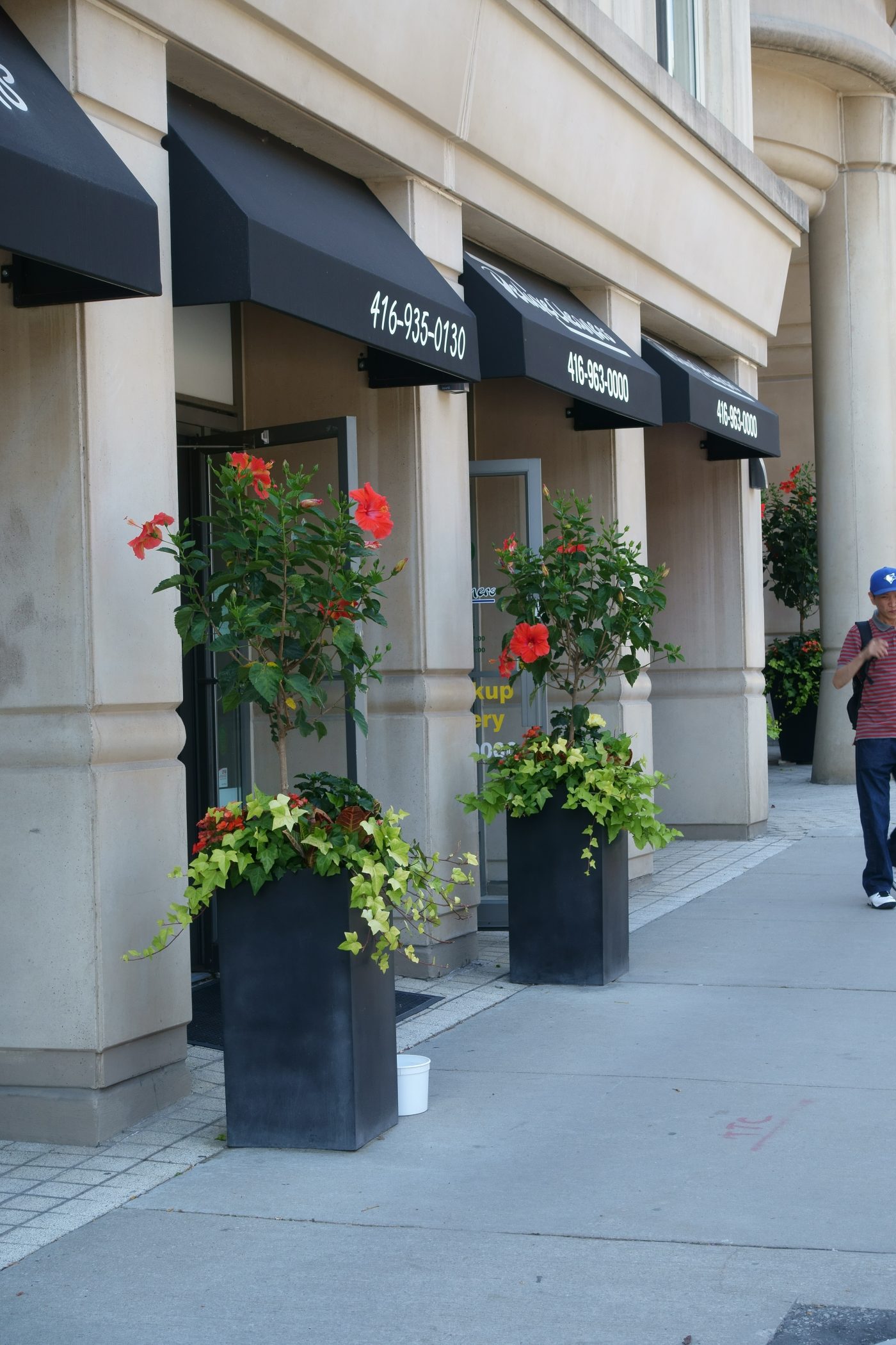 Two Urns on the side of building in line with pillars. Highlights entrance with a natural elegant look.