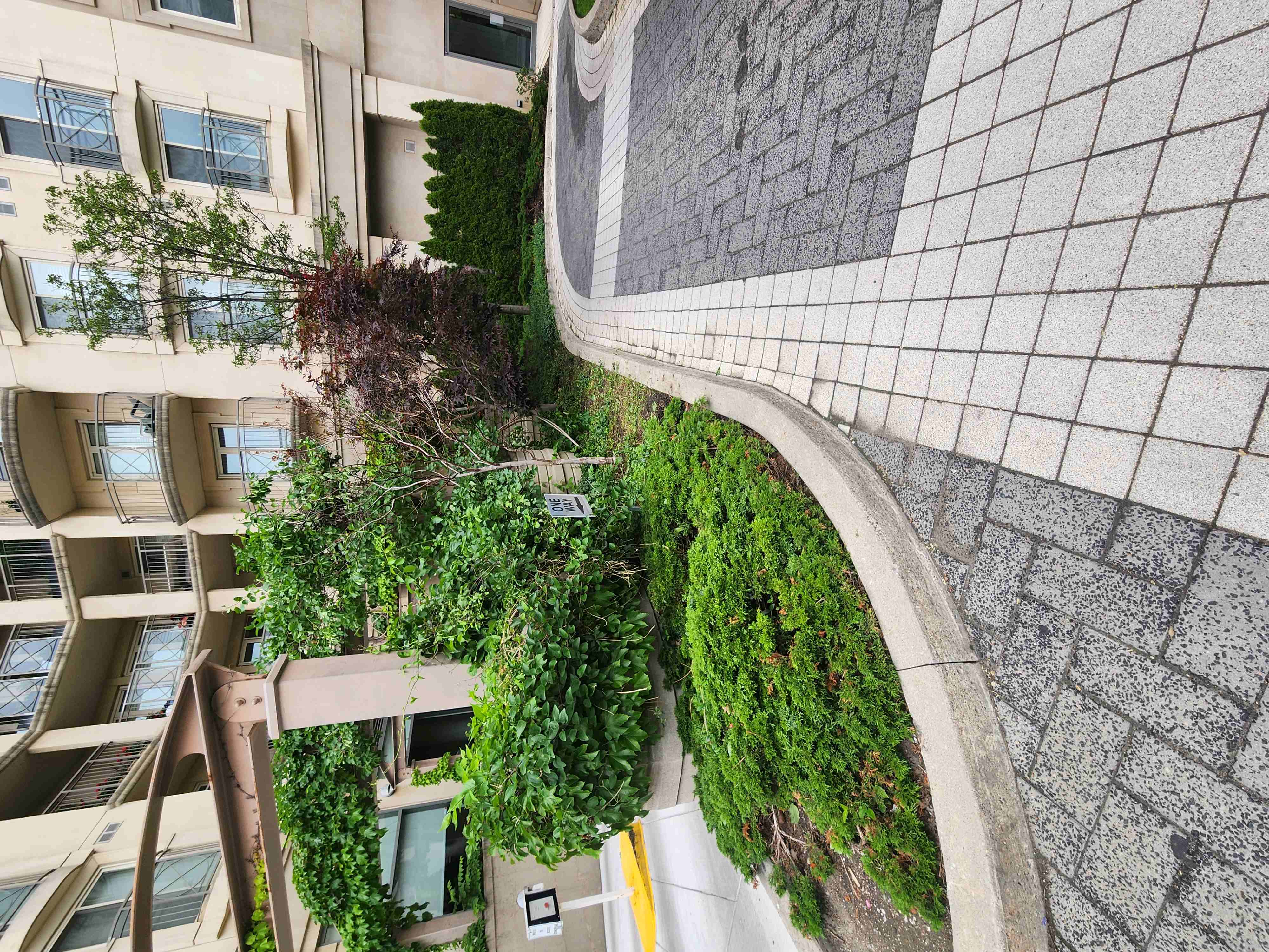 Gardens providing a visual cover for garage entrance. Keeping the peacful contemporary outdoor look without letting the entranceway impact the property feel.