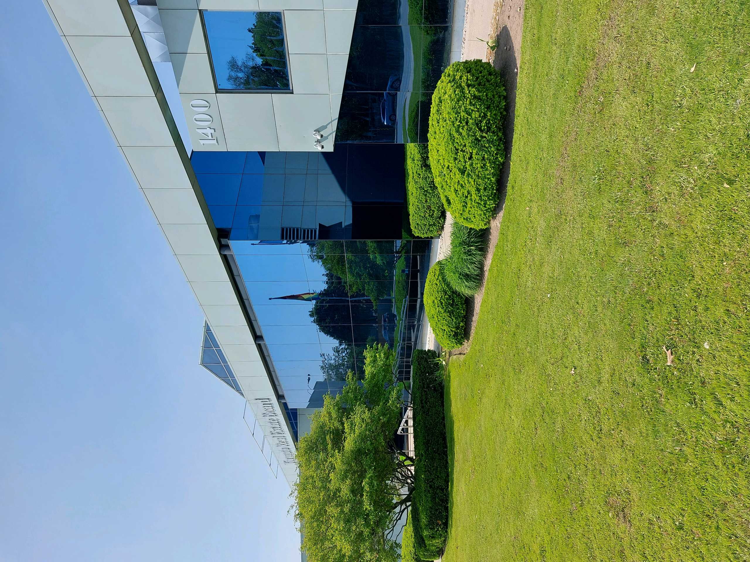 Lawn Care, Shrub Maintenance and tree prunning