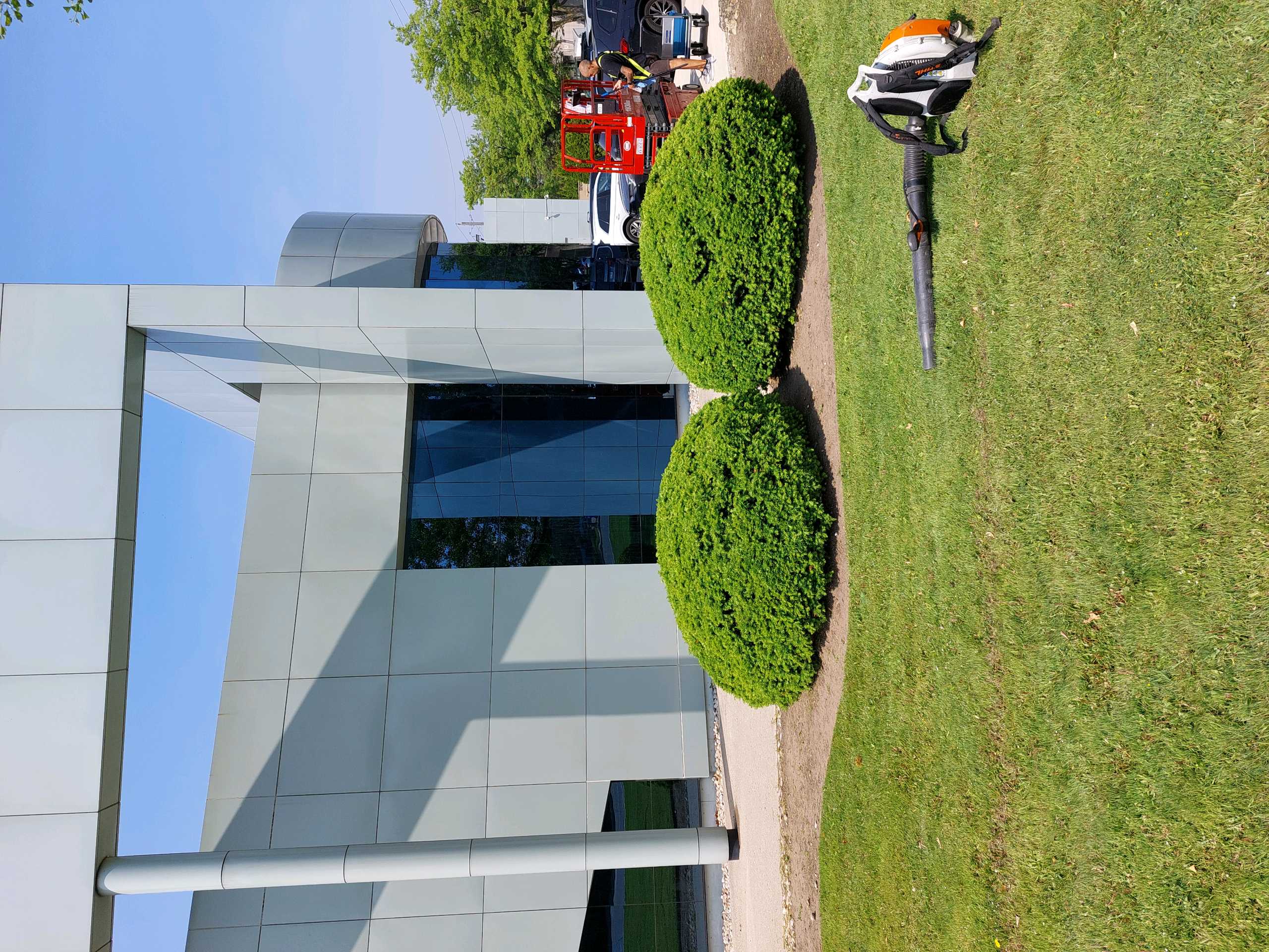 Two round sculpted hedges in front of lawn space