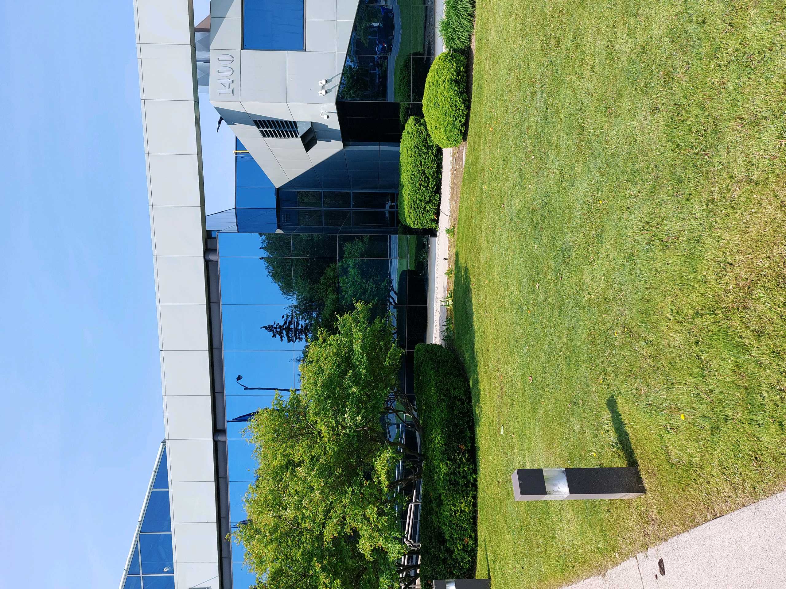 Sidewalk with lawn space and pruned hedges and tree