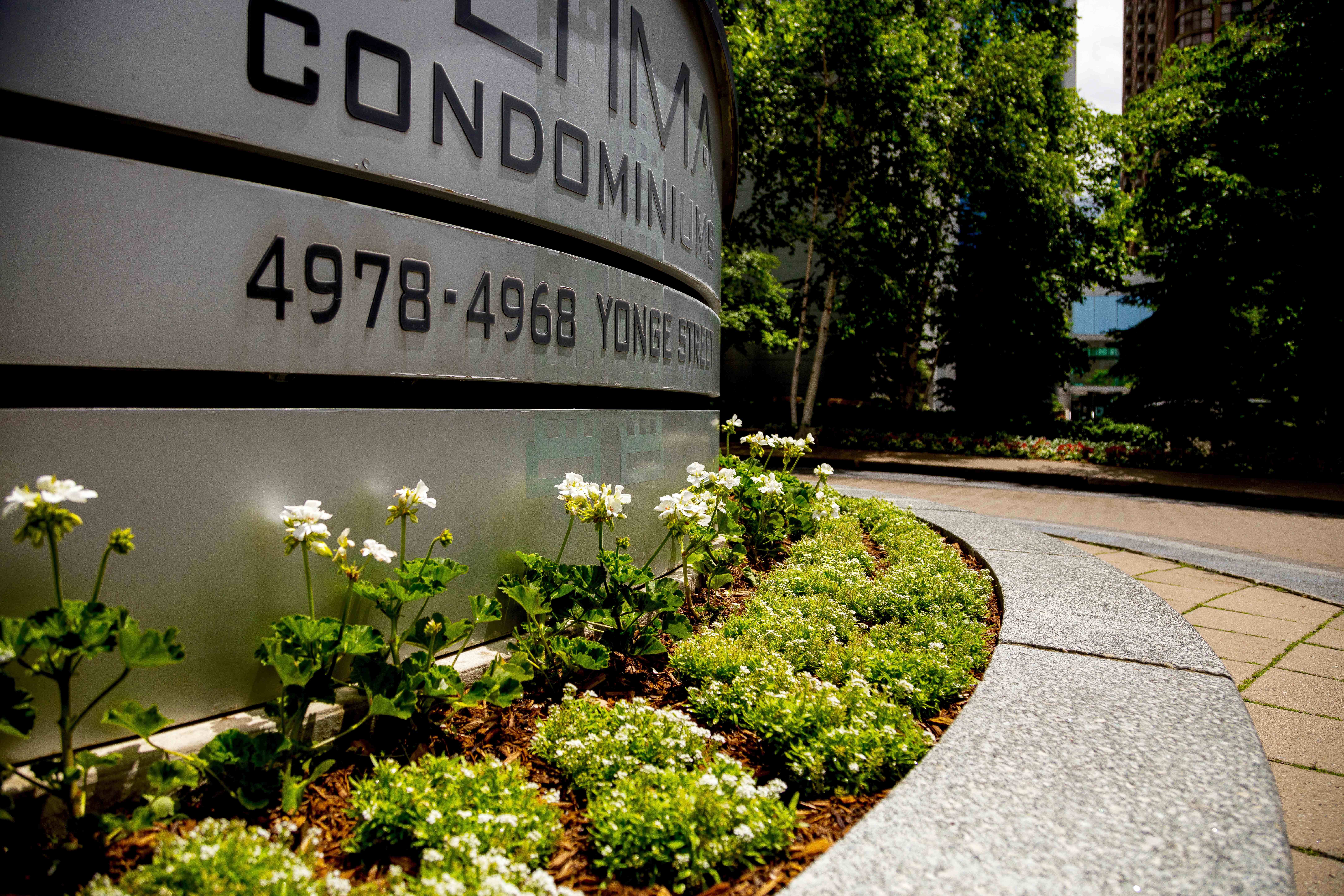 Small annuals garden bed planted in front of commercial property sign. Color matched