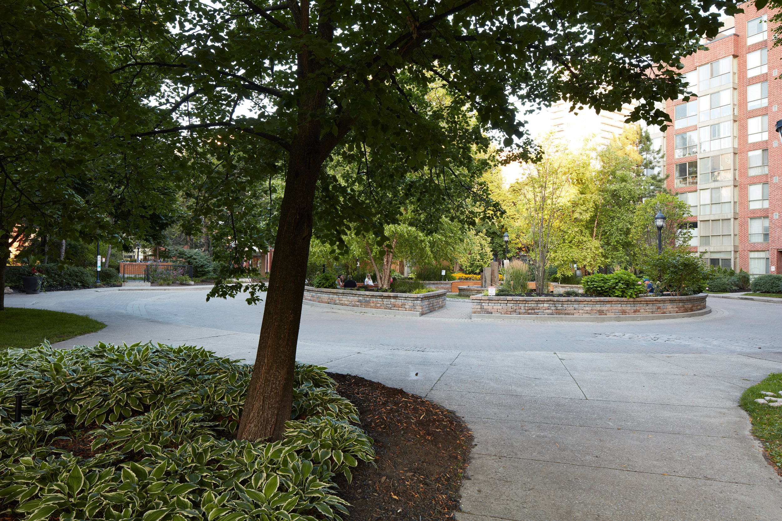Tree over garden bed next to stone pathway 