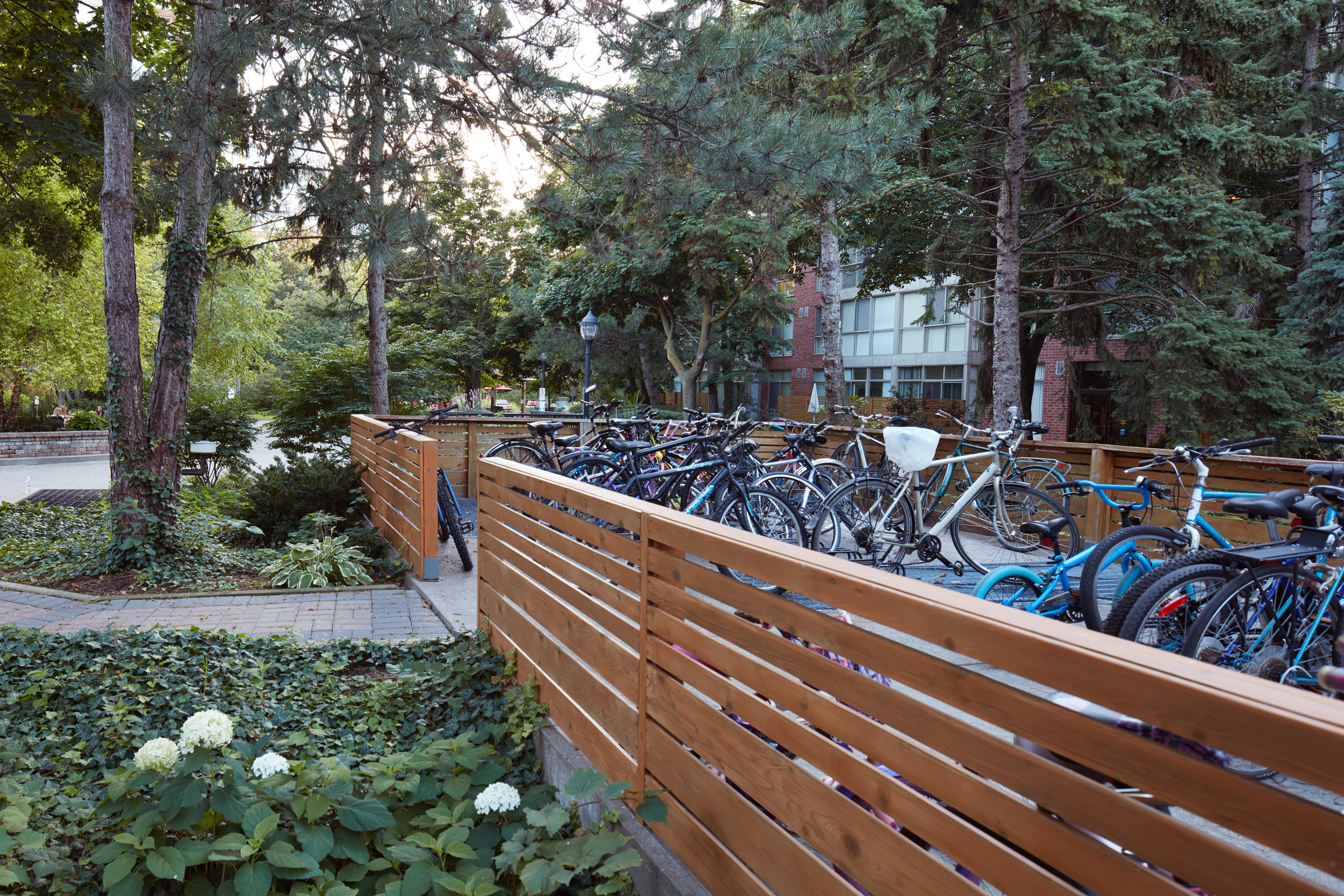 Bike Storage area with flower beds