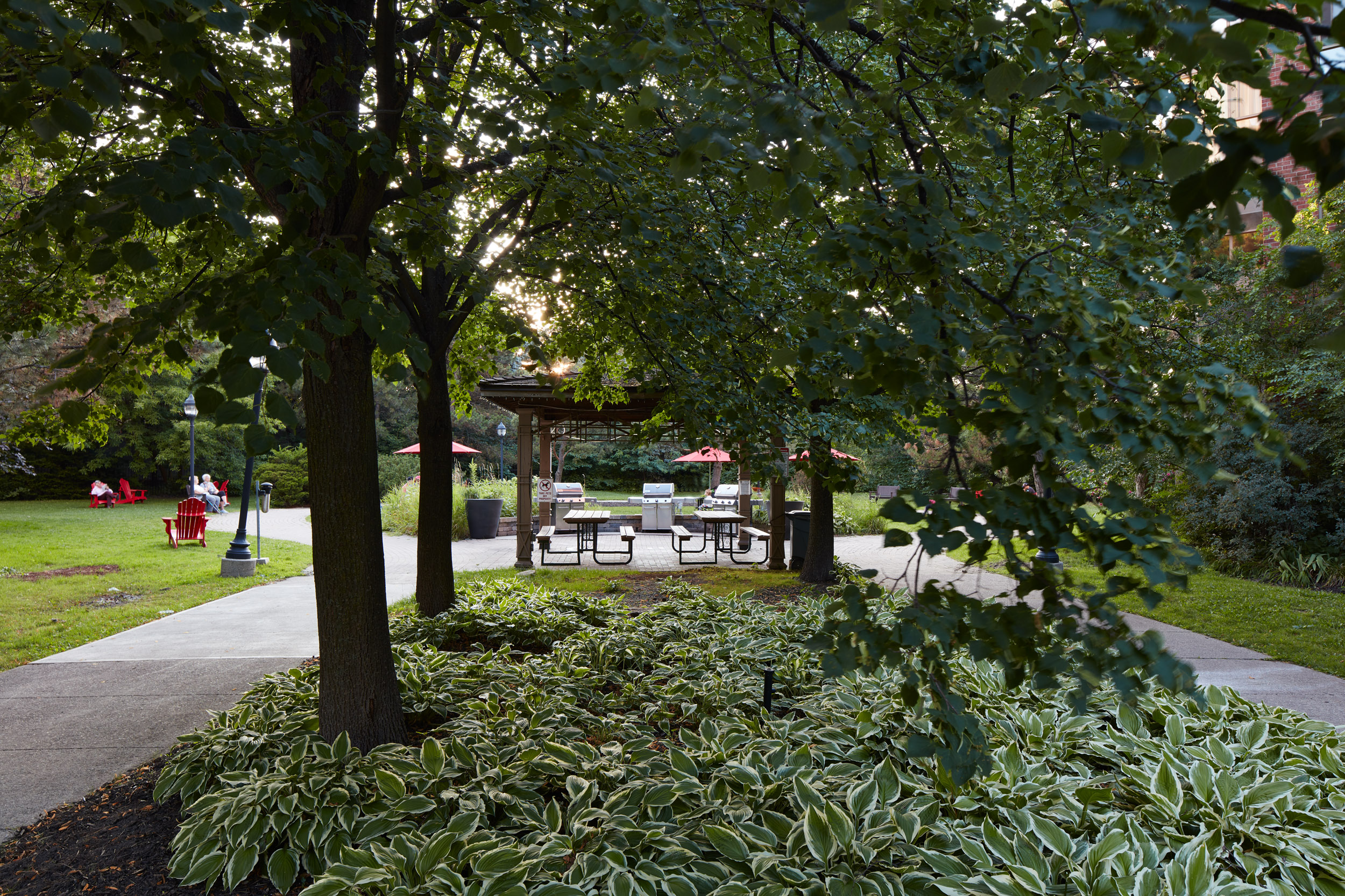 Garden Beds and outdoor cooking area