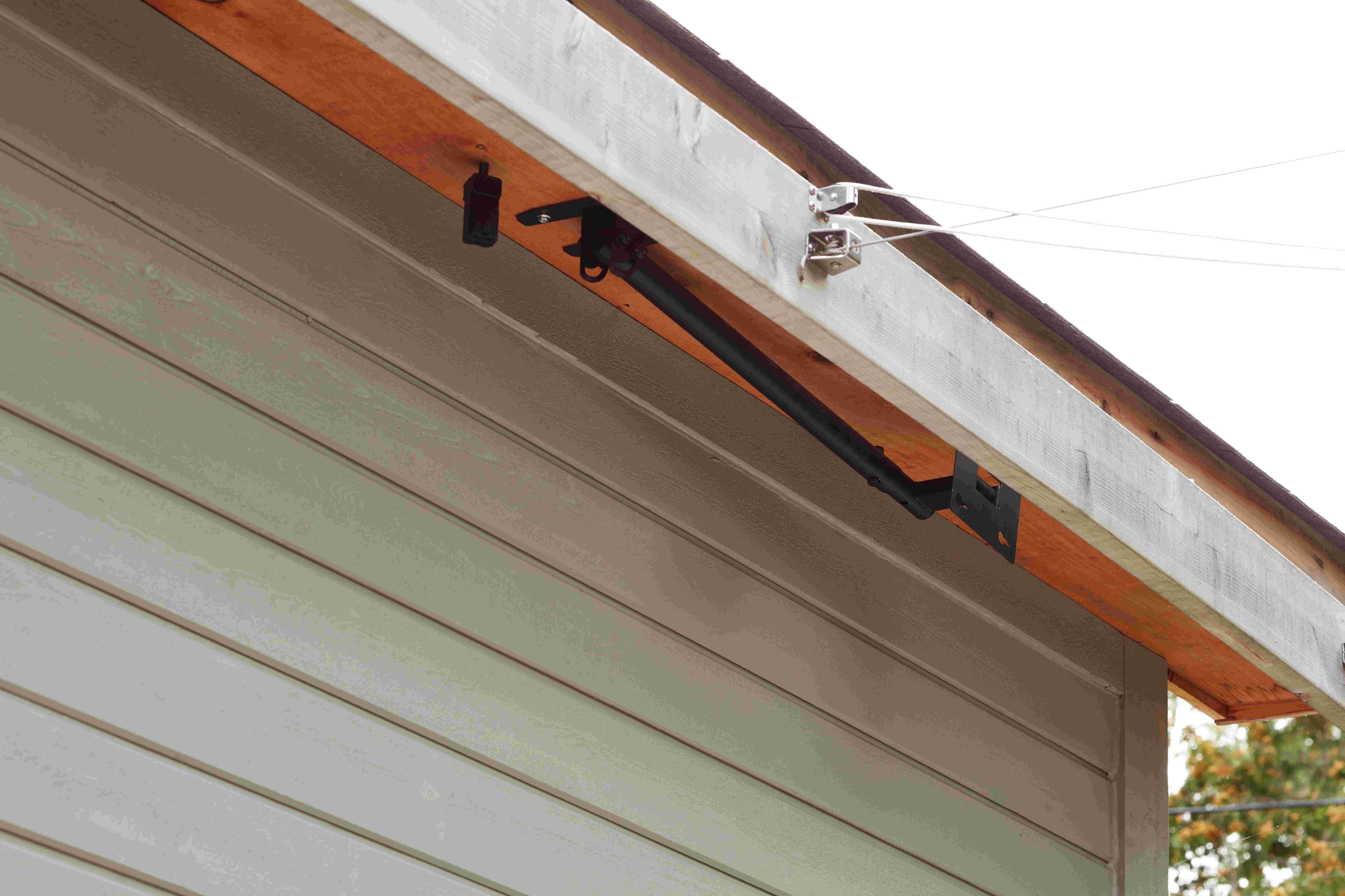 Ronan Backyard Redesign