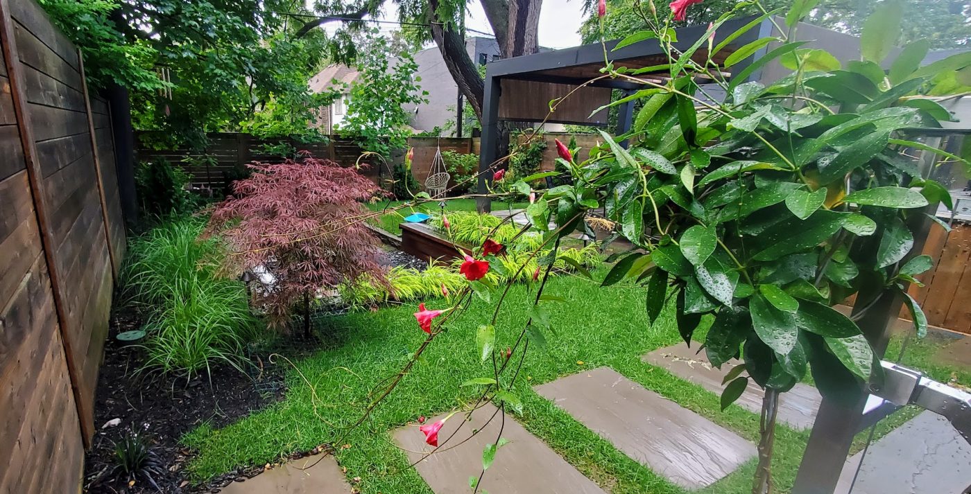 Garden Angle showcasing stone pathway and garden beds