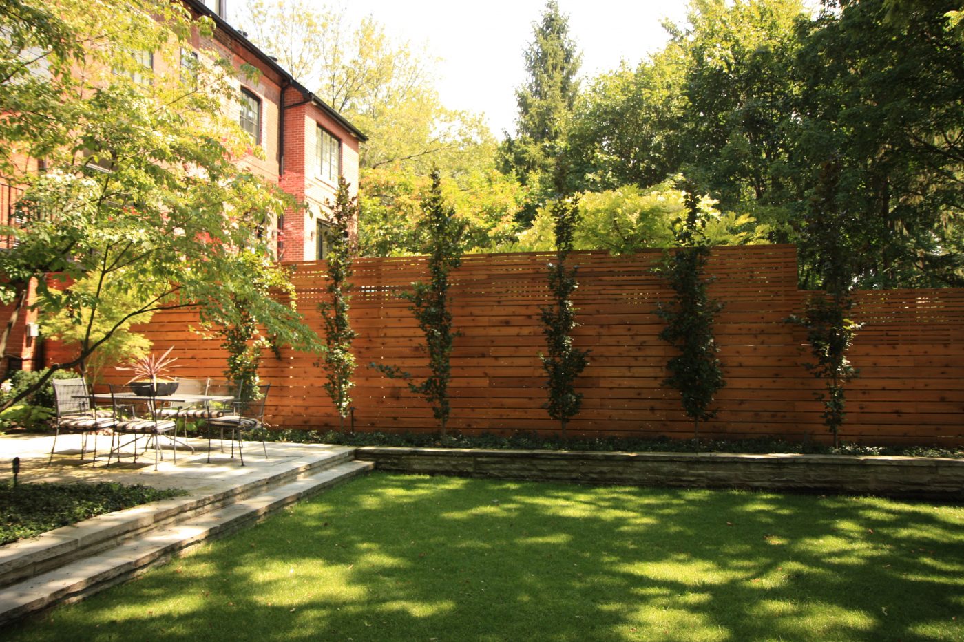 line order of trees alongside fence