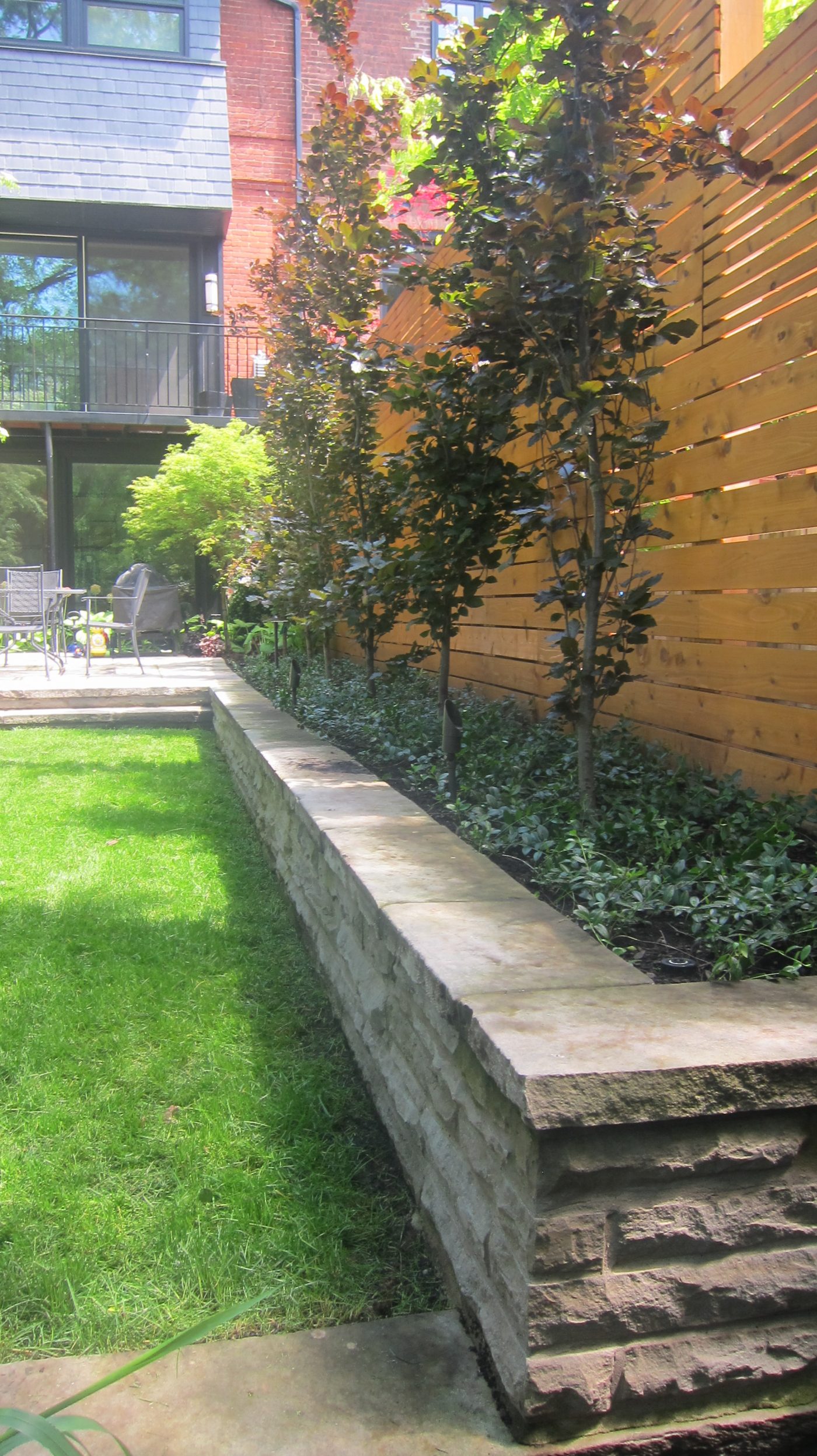 Backyard retaining wall containing line planted trees