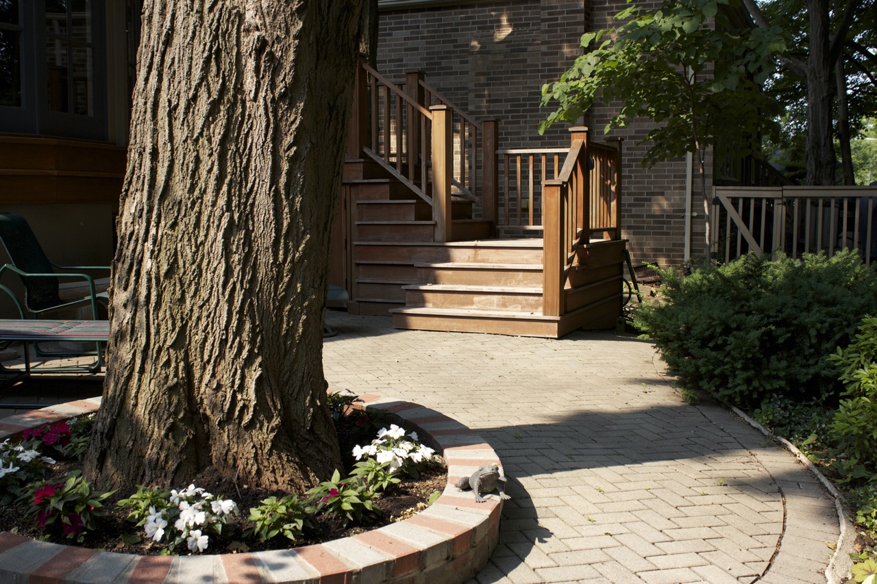 Interlock Stone around stone garden bed containing plants and a tree
