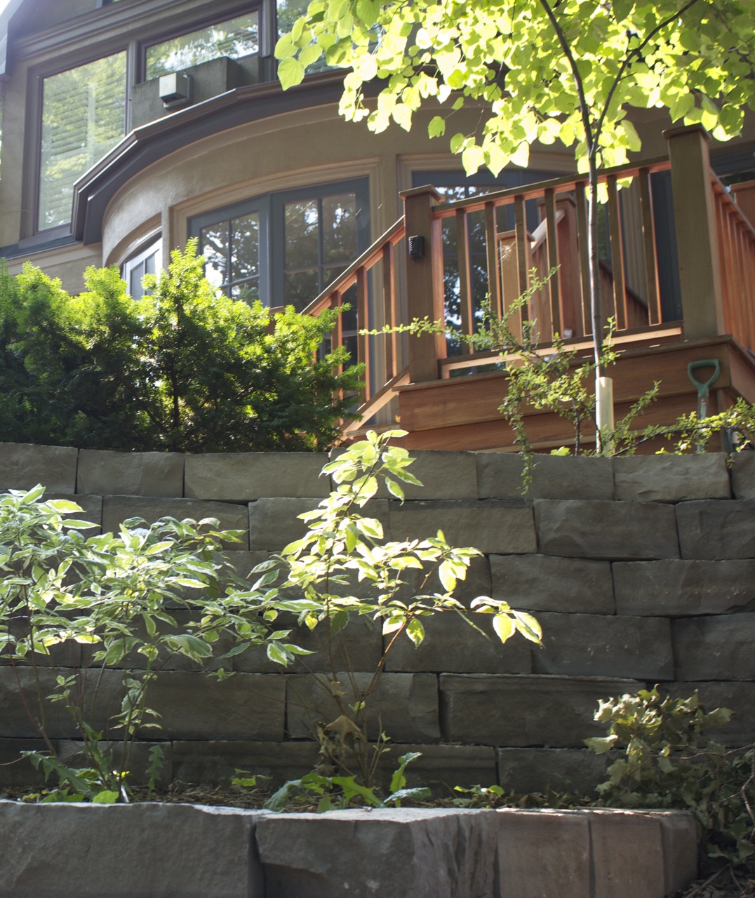 Hillside view showcasing evergreen shrubs in tiered beds
