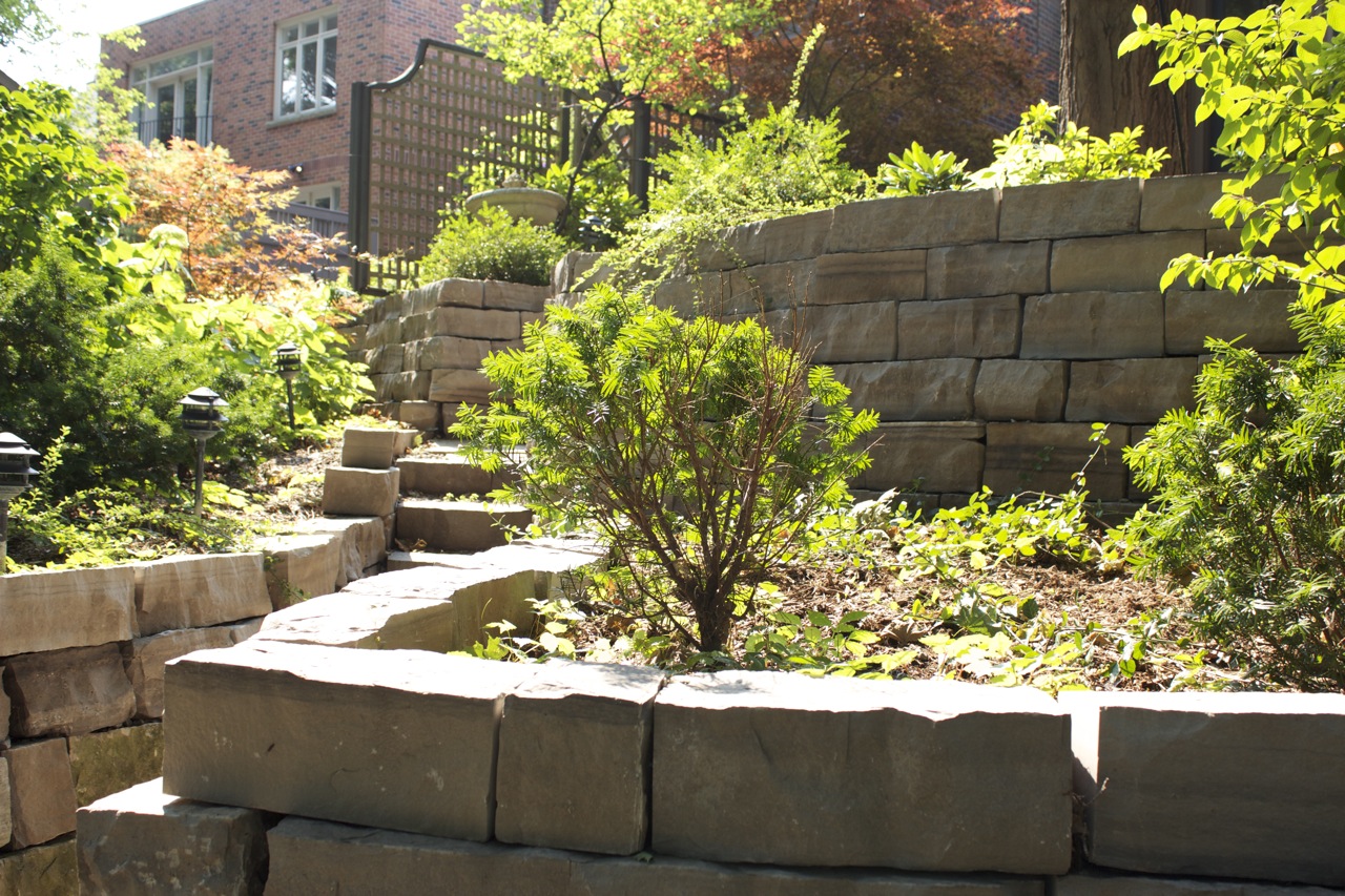 Perennial and shrub garden beds showcases yews