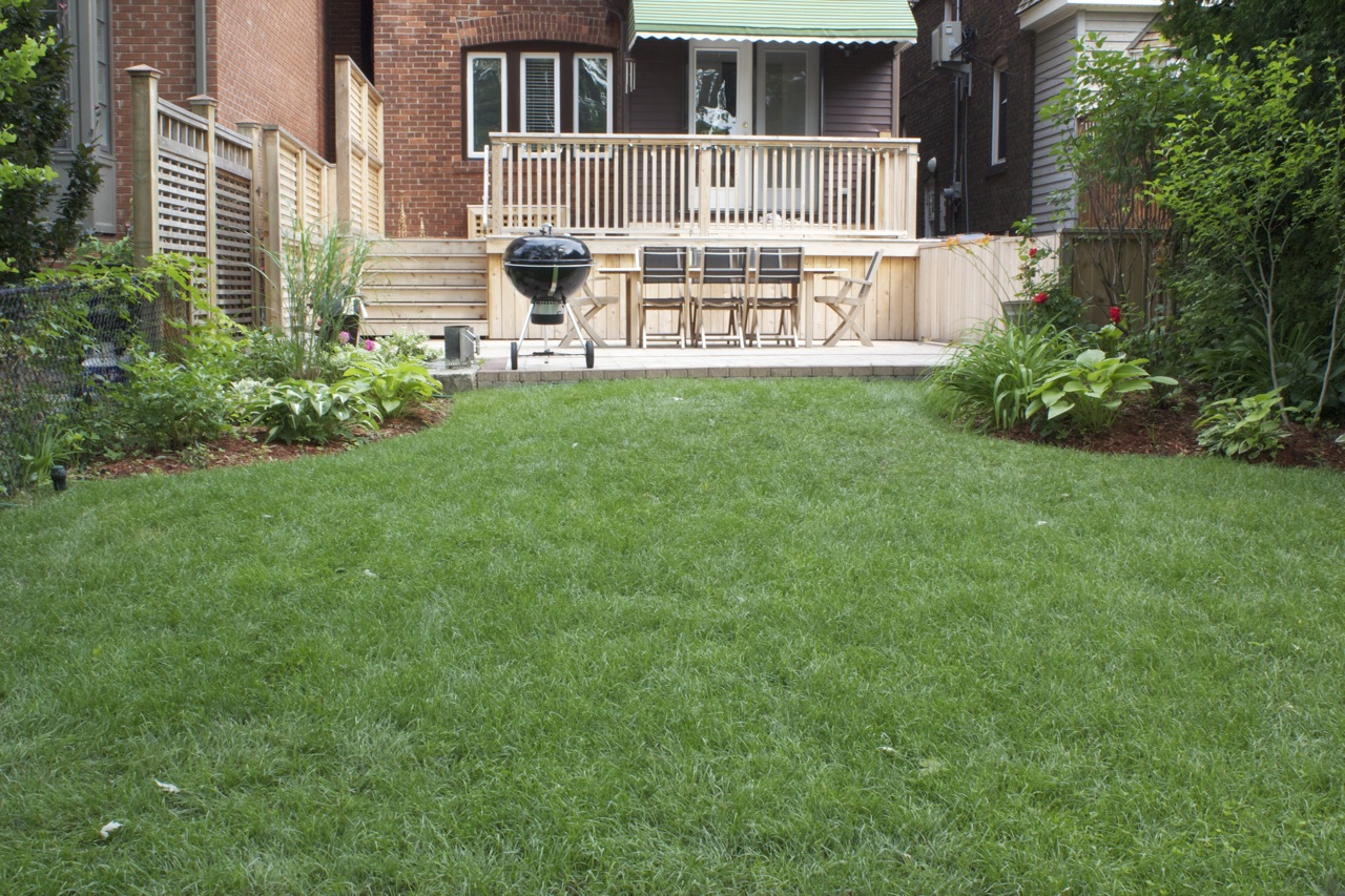 Backyard lawnspace