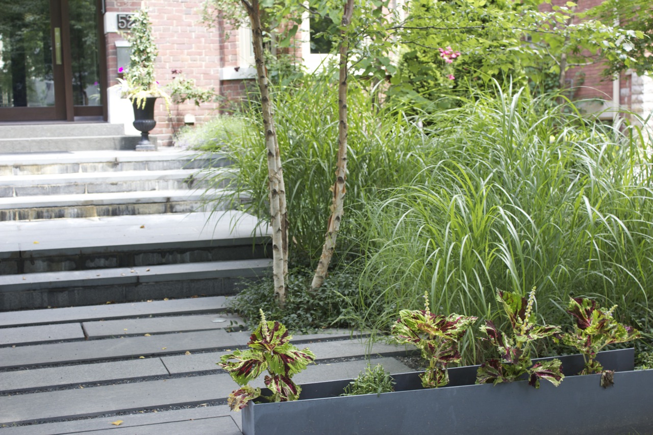 Garden Beds filled with tall river grasses and small metal planter boxes containing Perennial plants