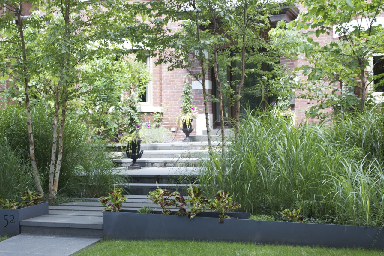 Binscarth Road Landscape Project, Rosedale Toronto