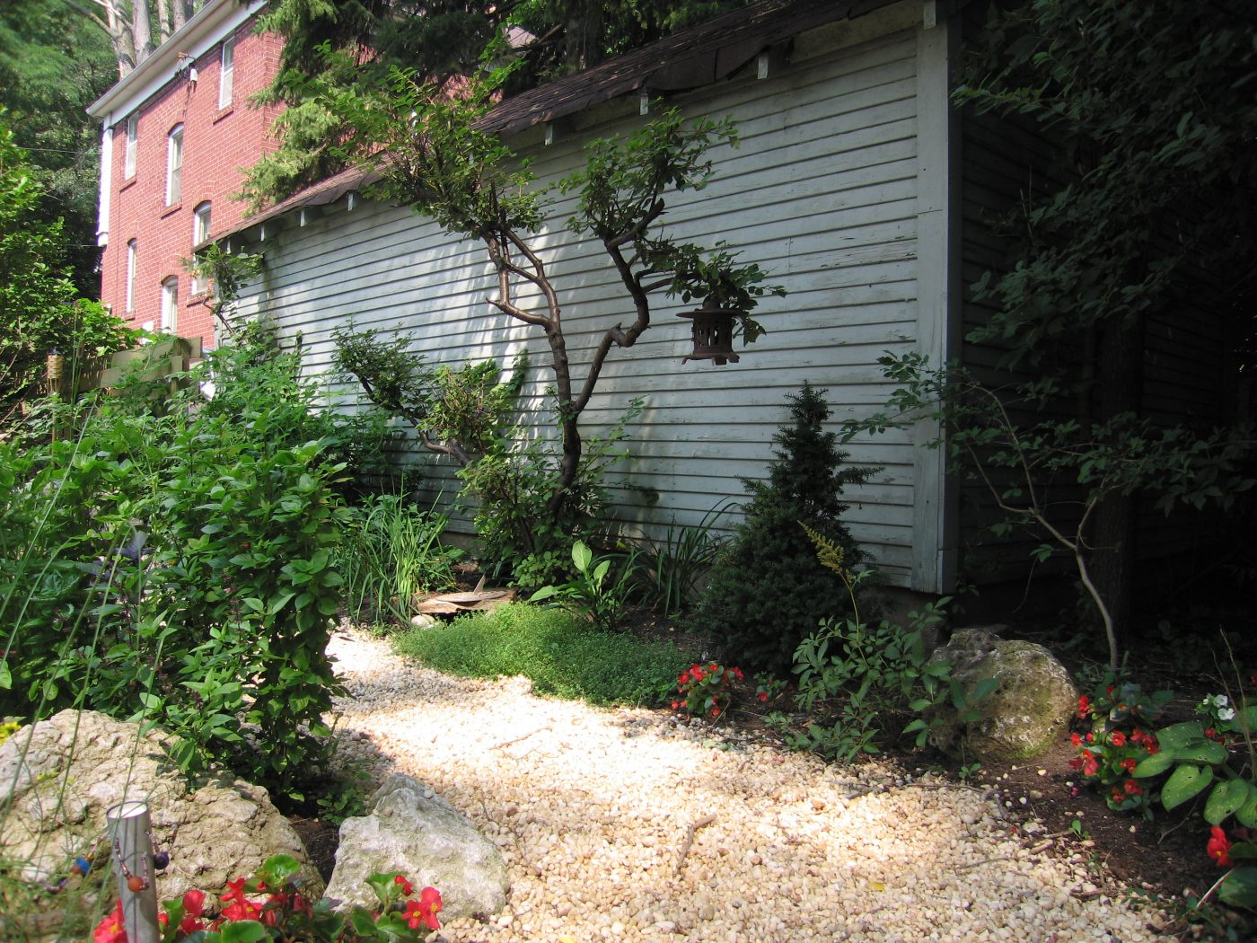 Pea Gravel pathway with natural plants 