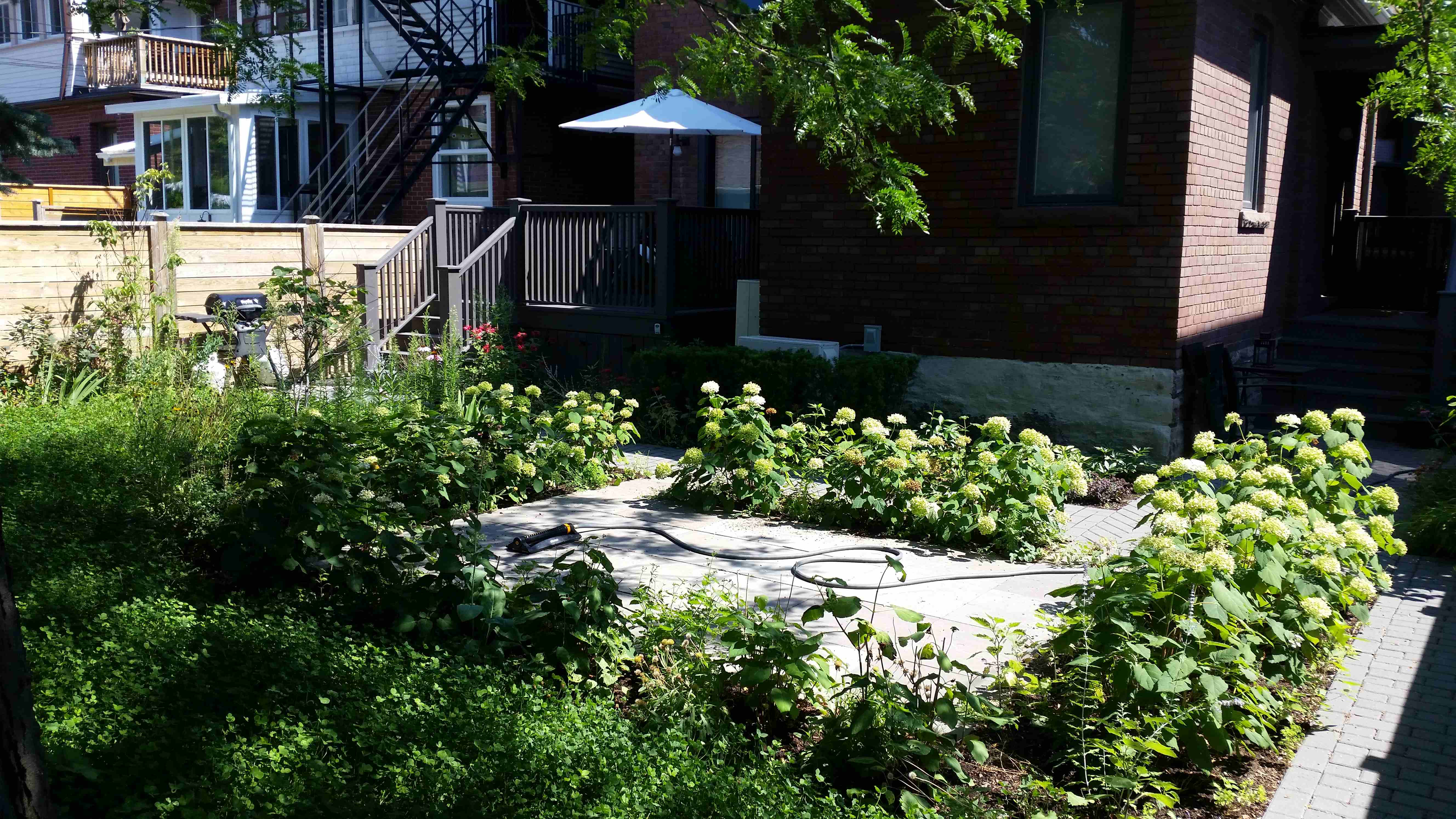 garden beds with stone pathway through it