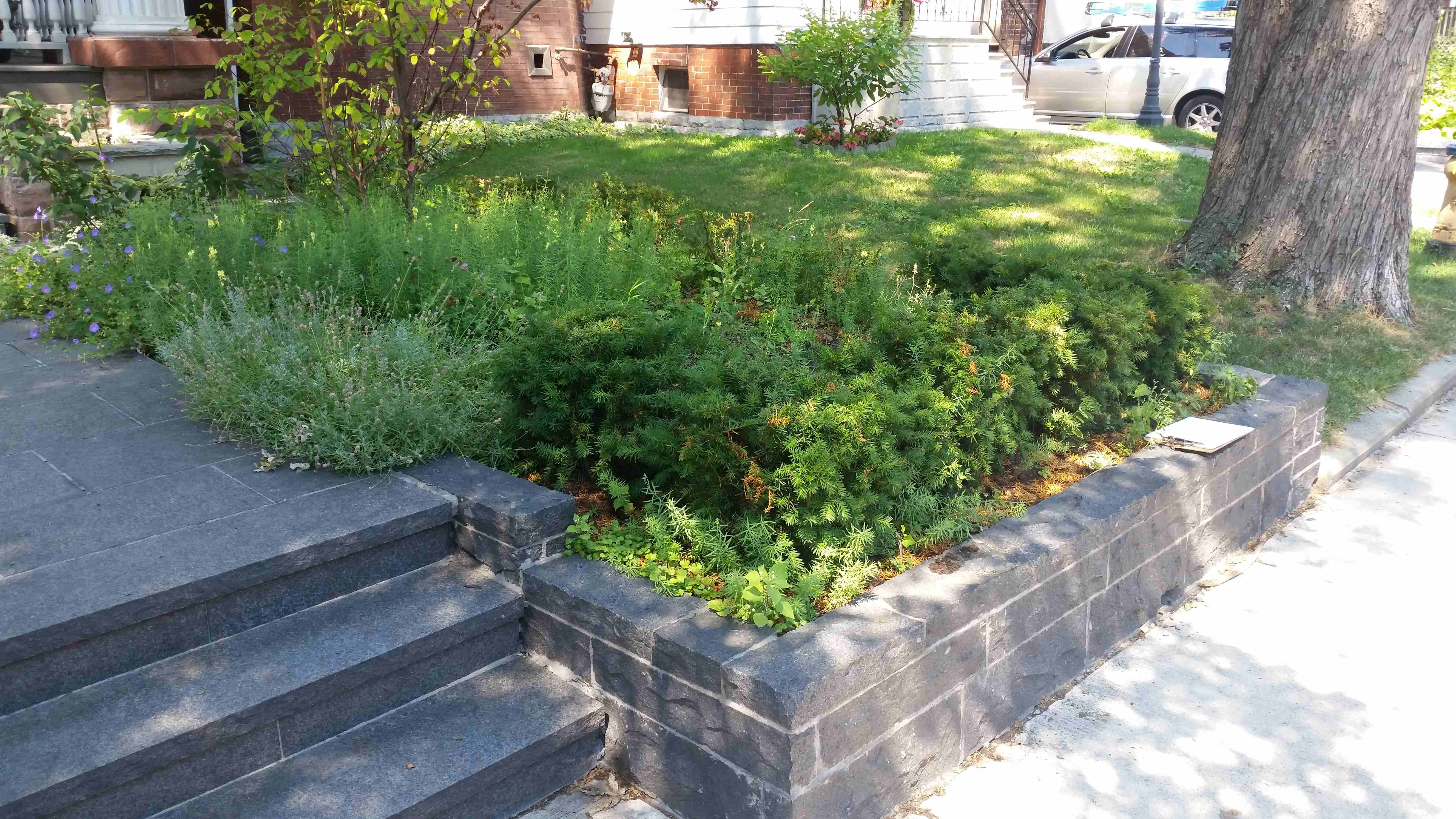 Palmerston Retaining Wall used to spice up a property