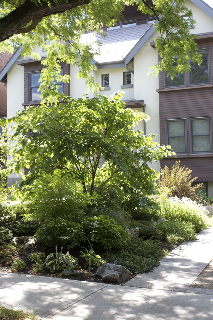 Large Garden bed at corner of the property
