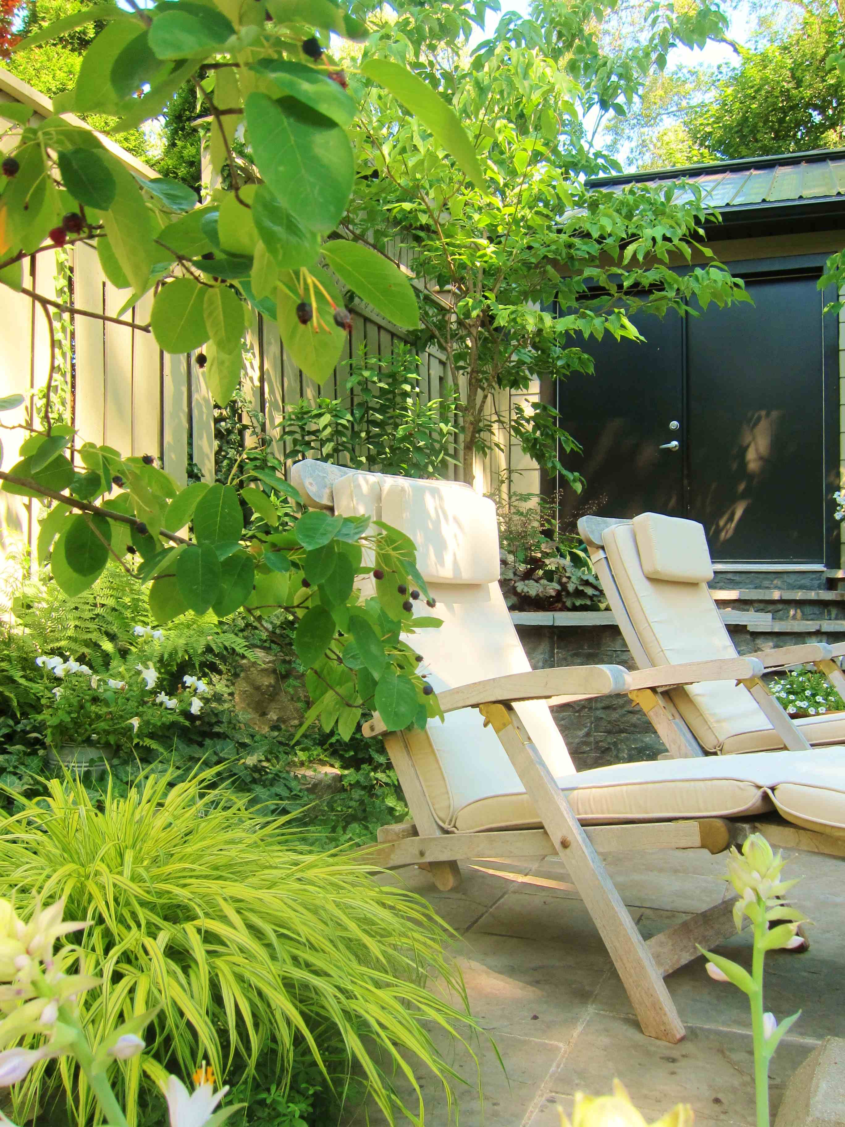lounge chairs in the garden. Green color pop
