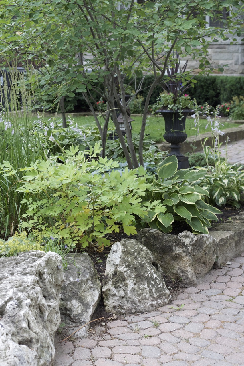 Large Natural stone containing gardens