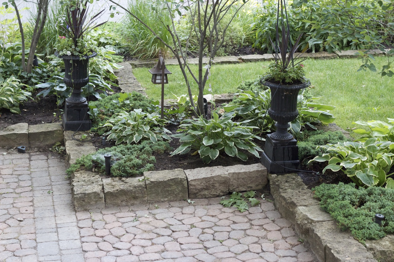 Interlock and very low retaining wall containing ground coverage plants