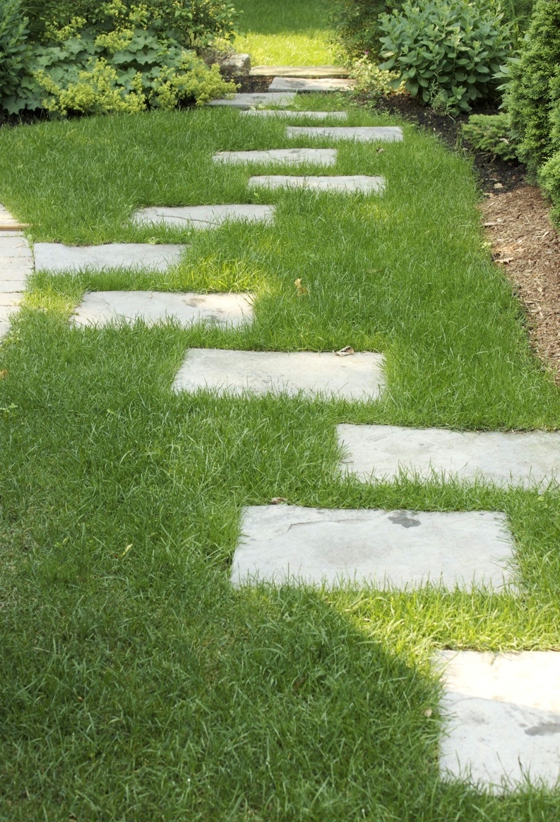Stone Pathway Through the Lawn