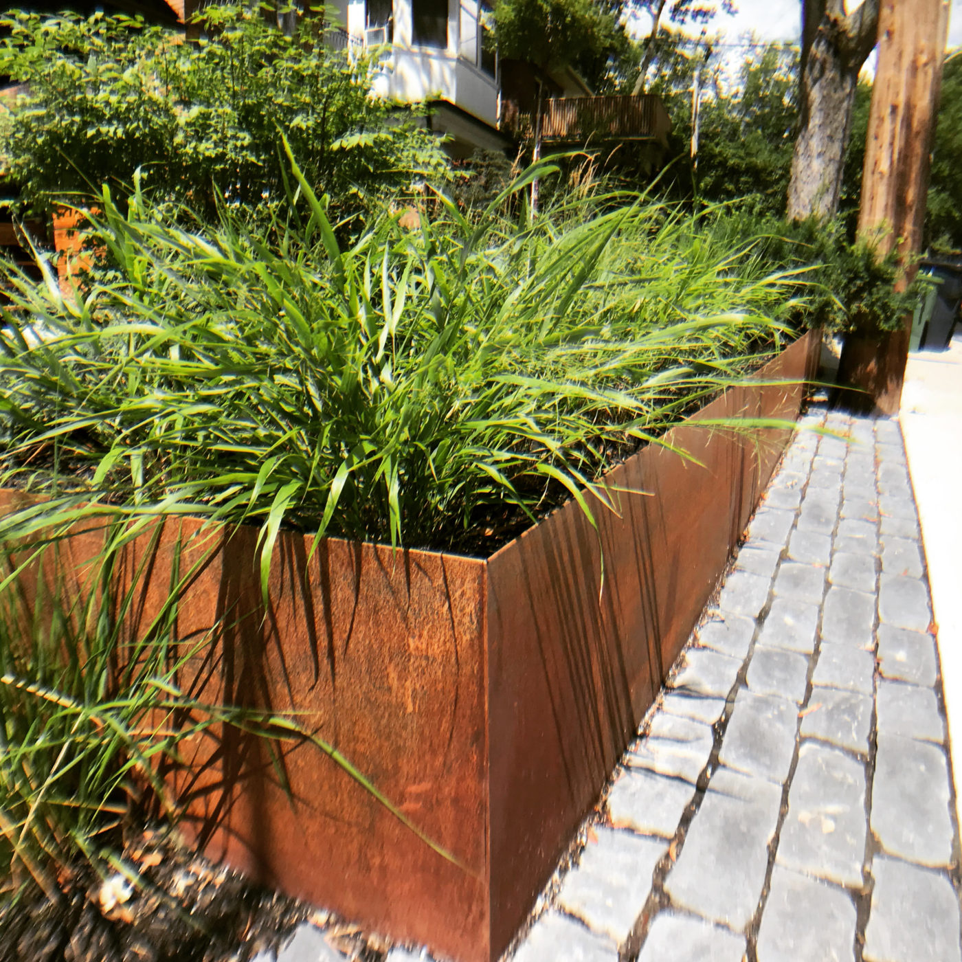 Corner Copper Planters of grasses