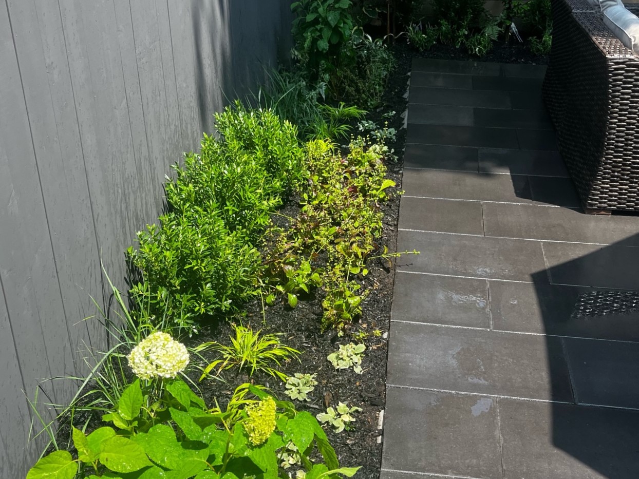 Garden Beds of Green color Perennials highlighting dark stone