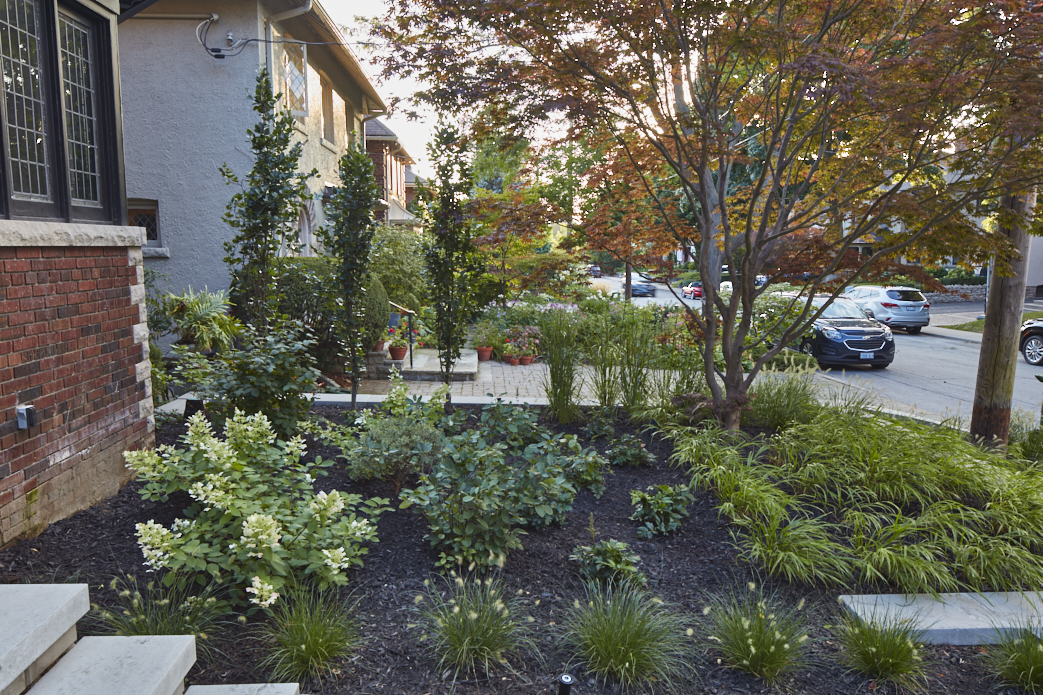 Garden Beds from side angle. Showcase fresh black Mulch providing nutrients
