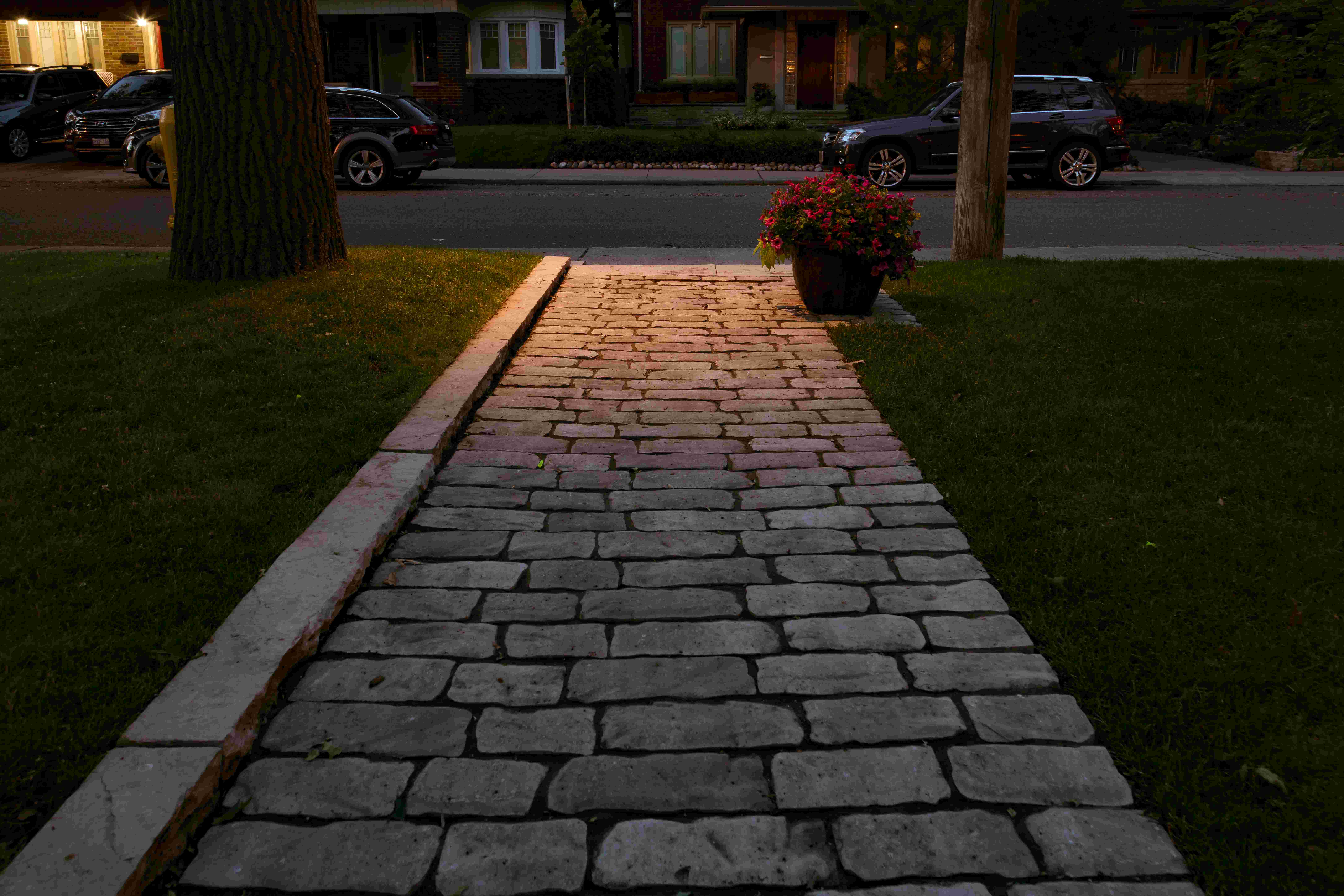 Landscape Lighting up the cobblestone pathway