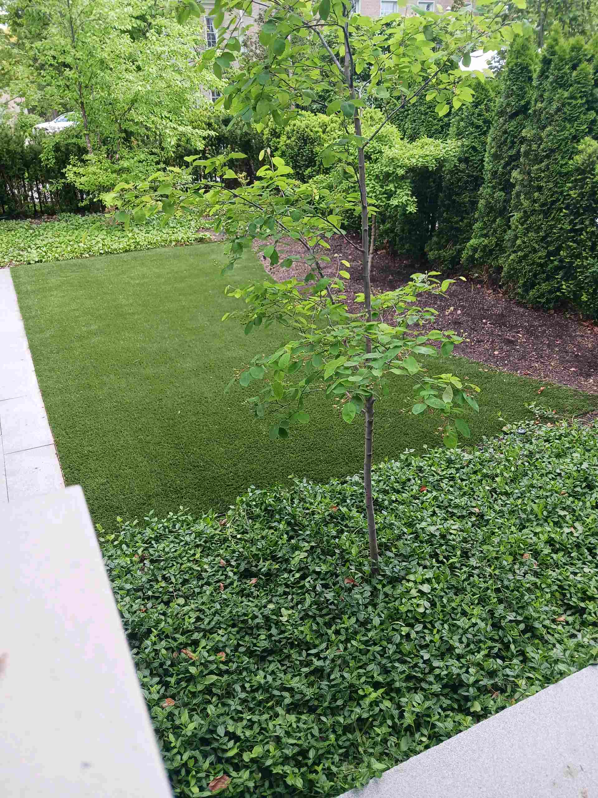 another angle of the astro turf showing the ornate hedge