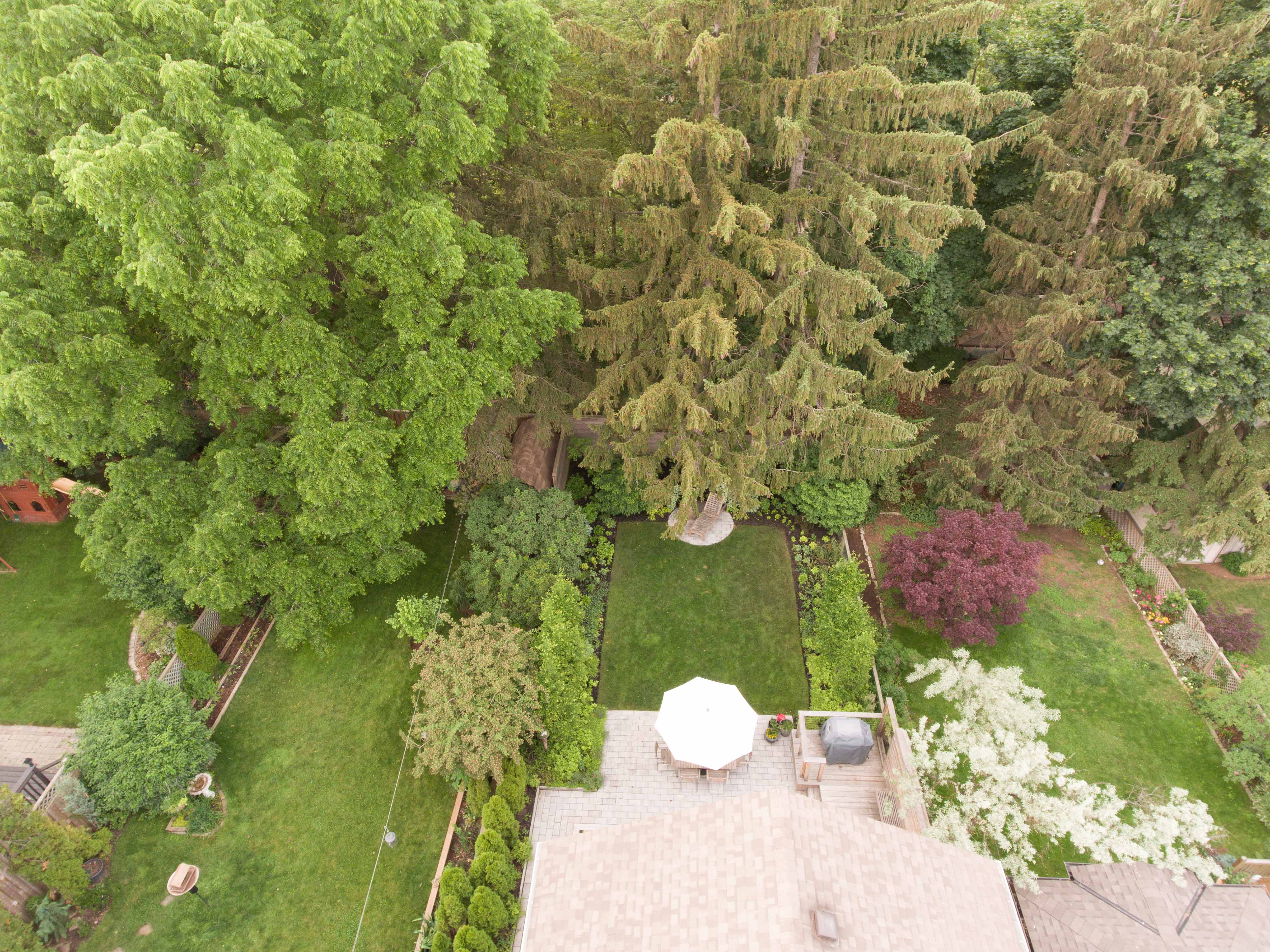 Birds eye view second showcasing trees and stonework