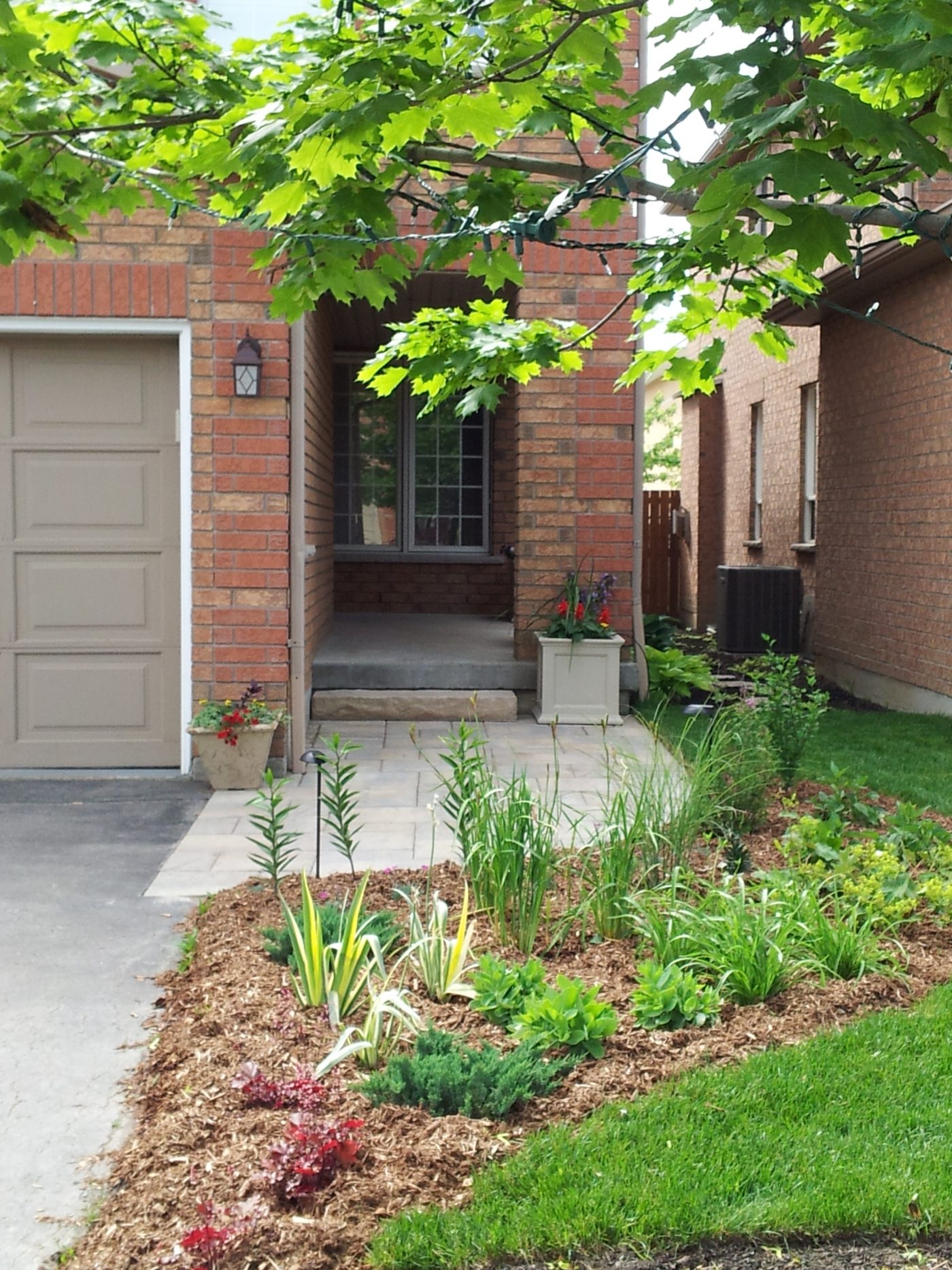 Front entrance with stone pathway to the back and natural mulch garden beds