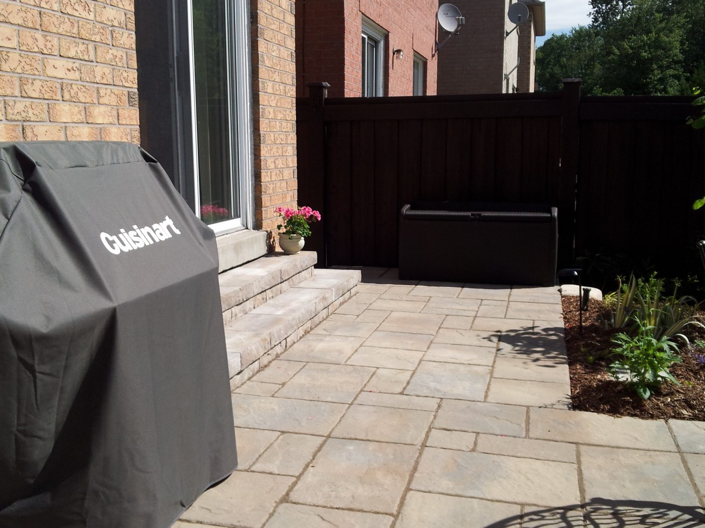 Naturalized Landscape Forest Bluff