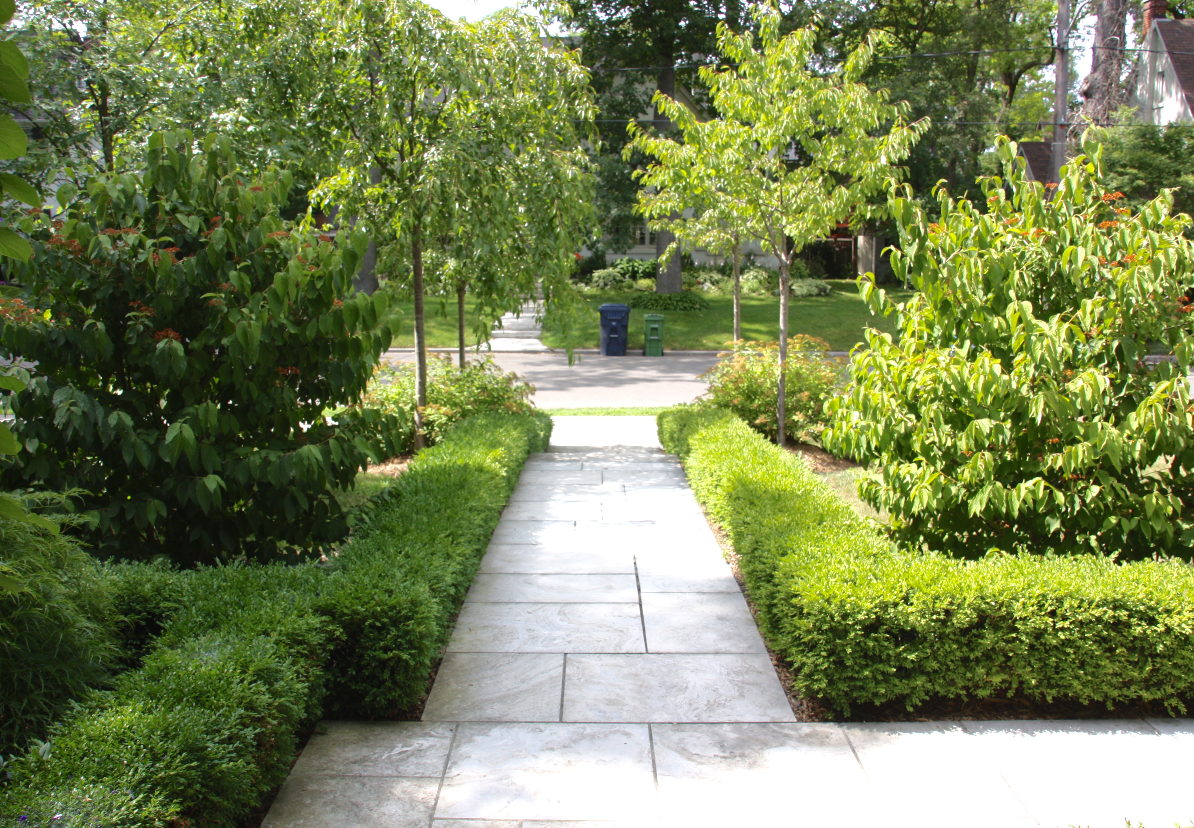 Garden Beds contained by boxwoods holding evergreen and Beachwood trees