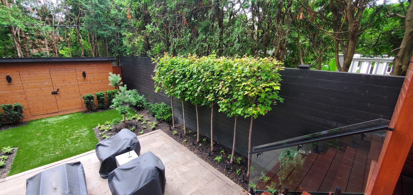 Patio and backyard shed with trees