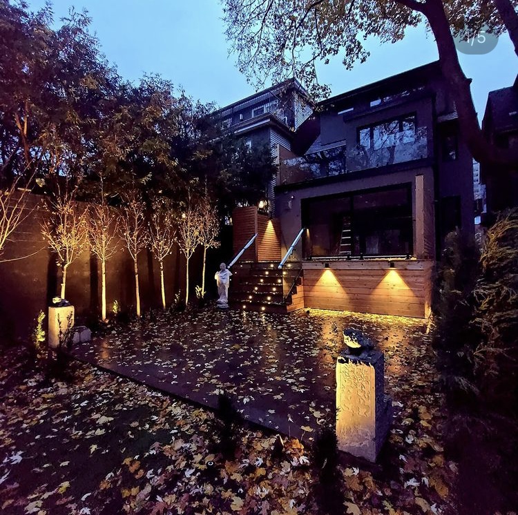 Backyard lighting for safety and highlight backyard features